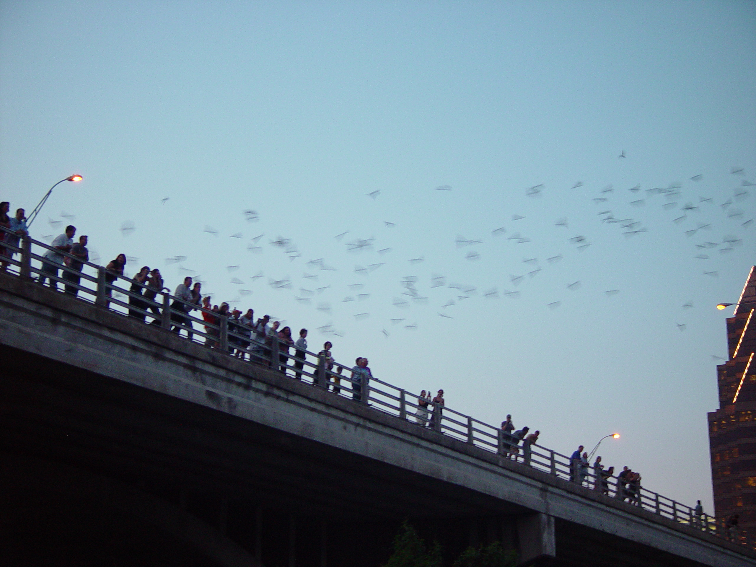 Sarah, Jason, and Hallie Dunn Come To Visit, The Austin Bats