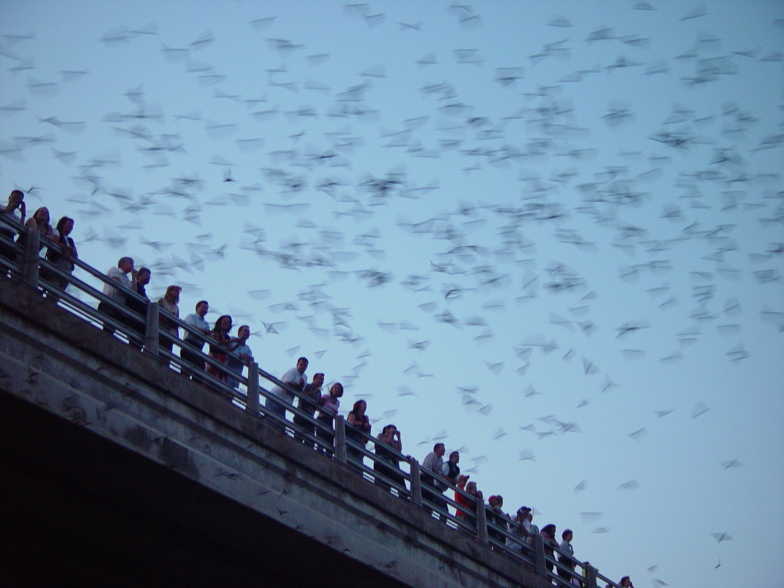 Sarah, Jason, and Hallie Dunn Come To Visit, The Austin Bats