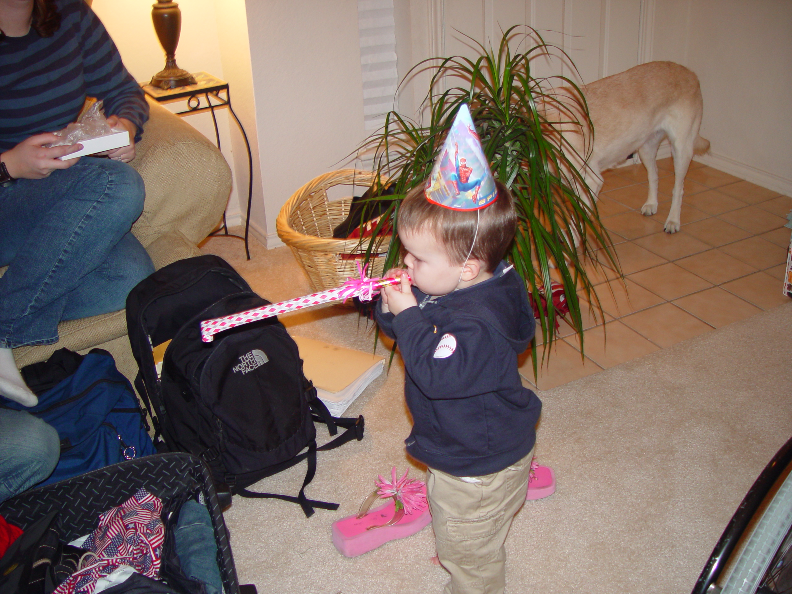 Thanksgiving 2004, Seaworld, Zack's Early 2nd Birthday