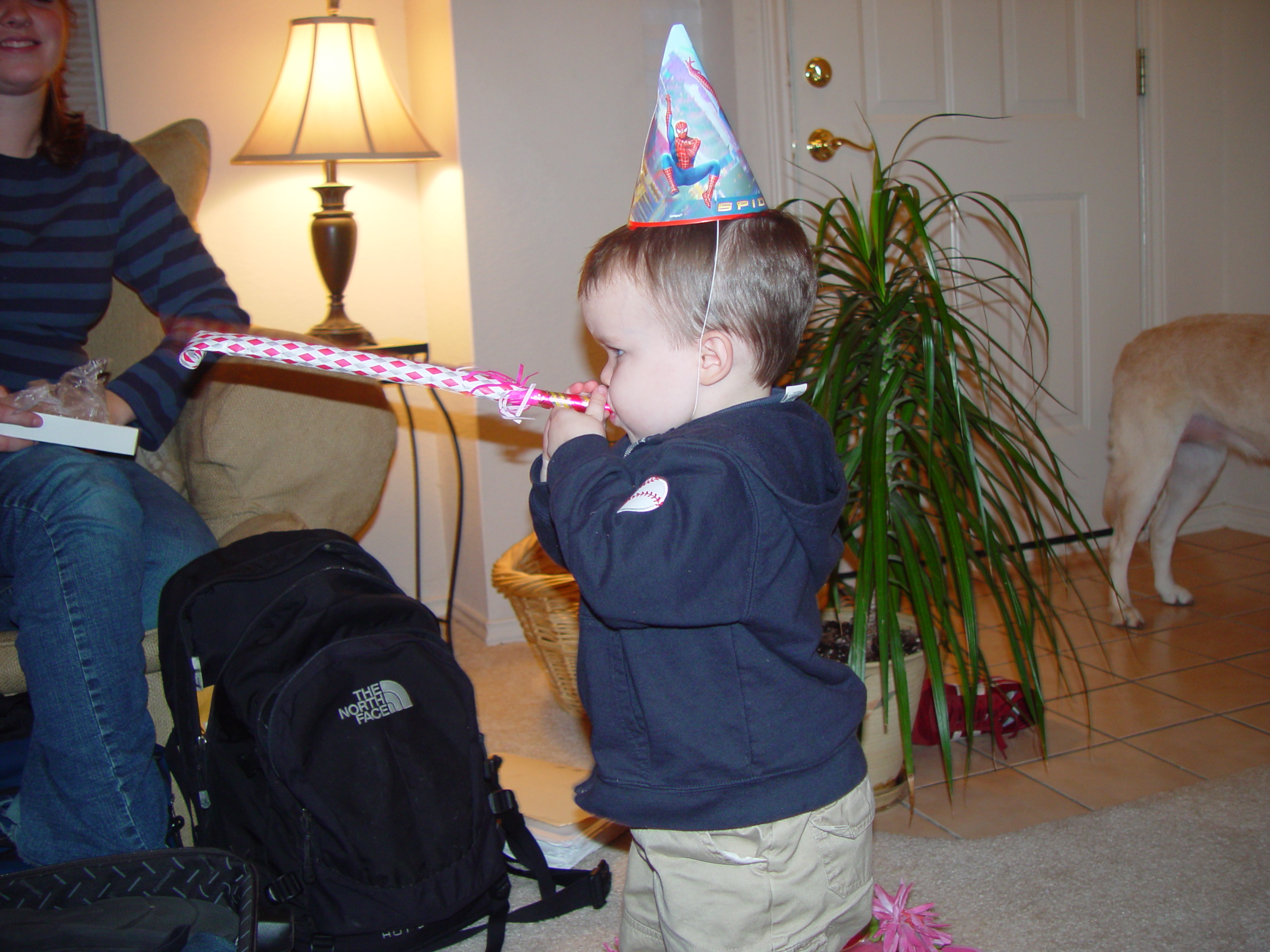 Thanksgiving 2004, Seaworld, Zack's Early 2nd Birthday