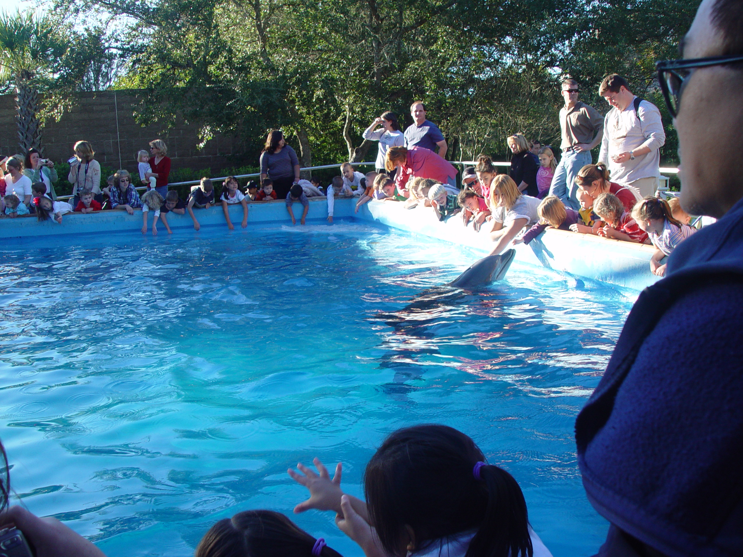 Thanksgiving 2004, Seaworld, Zack's Early 2nd Birthday