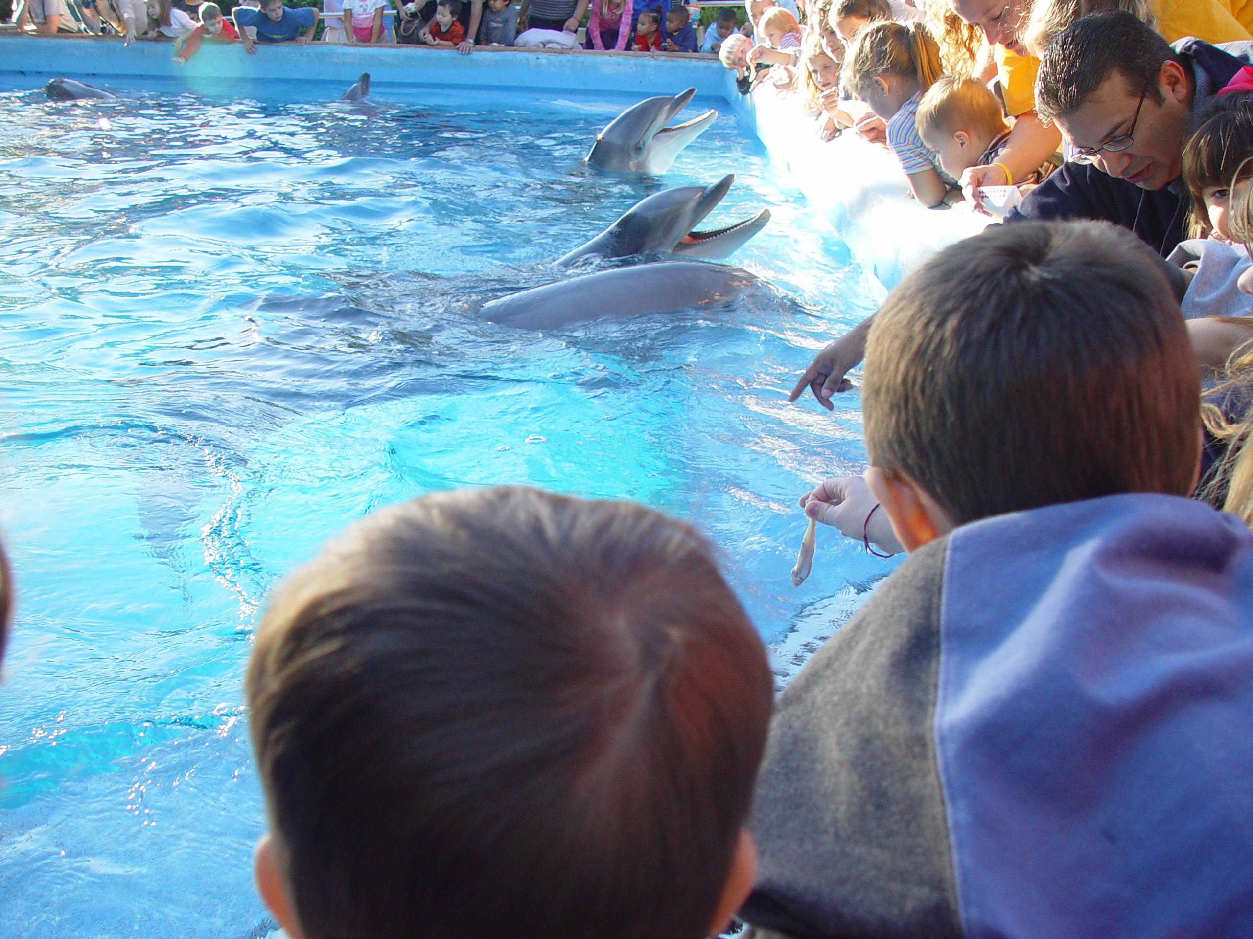 Thanksgiving 2004, Seaworld, Zack's Early 2nd Birthday