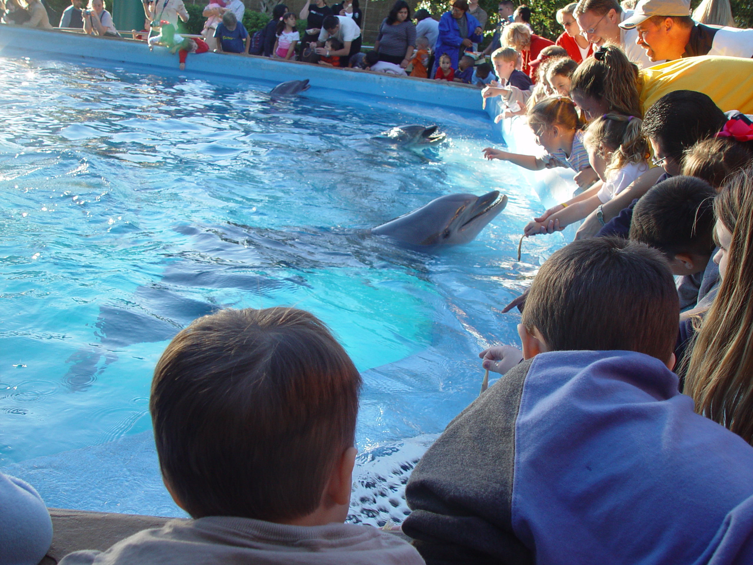 Thanksgiving 2004, Seaworld, Zack's Early 2nd Birthday