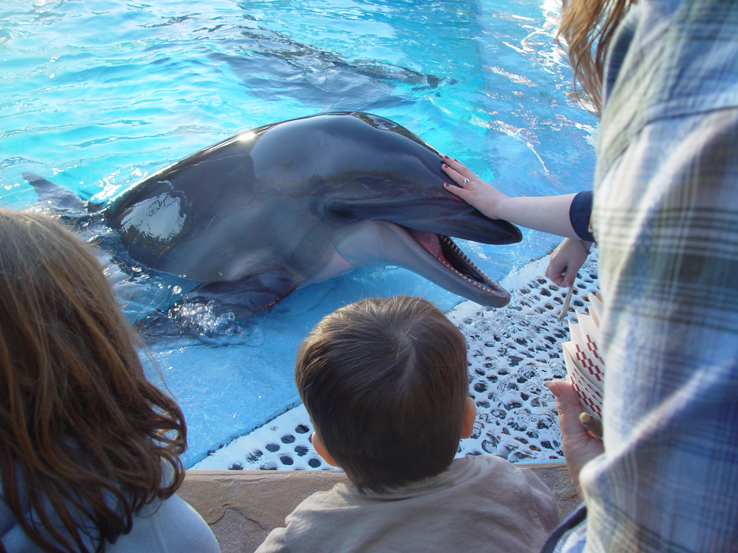 Thanksgiving 2004, Seaworld, Zack's Early 2nd Birthday