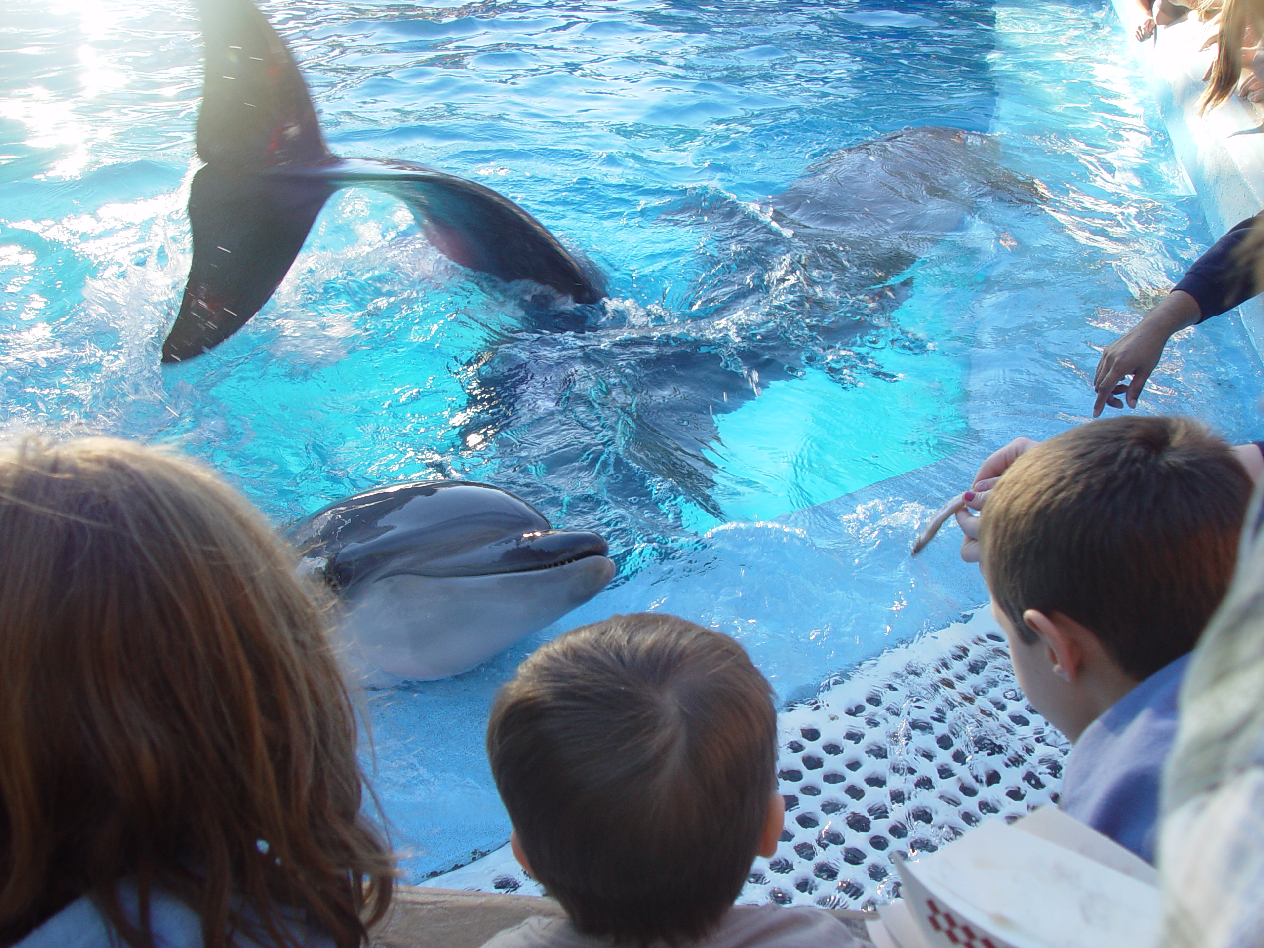 Thanksgiving 2004, Seaworld, Zack's Early 2nd Birthday