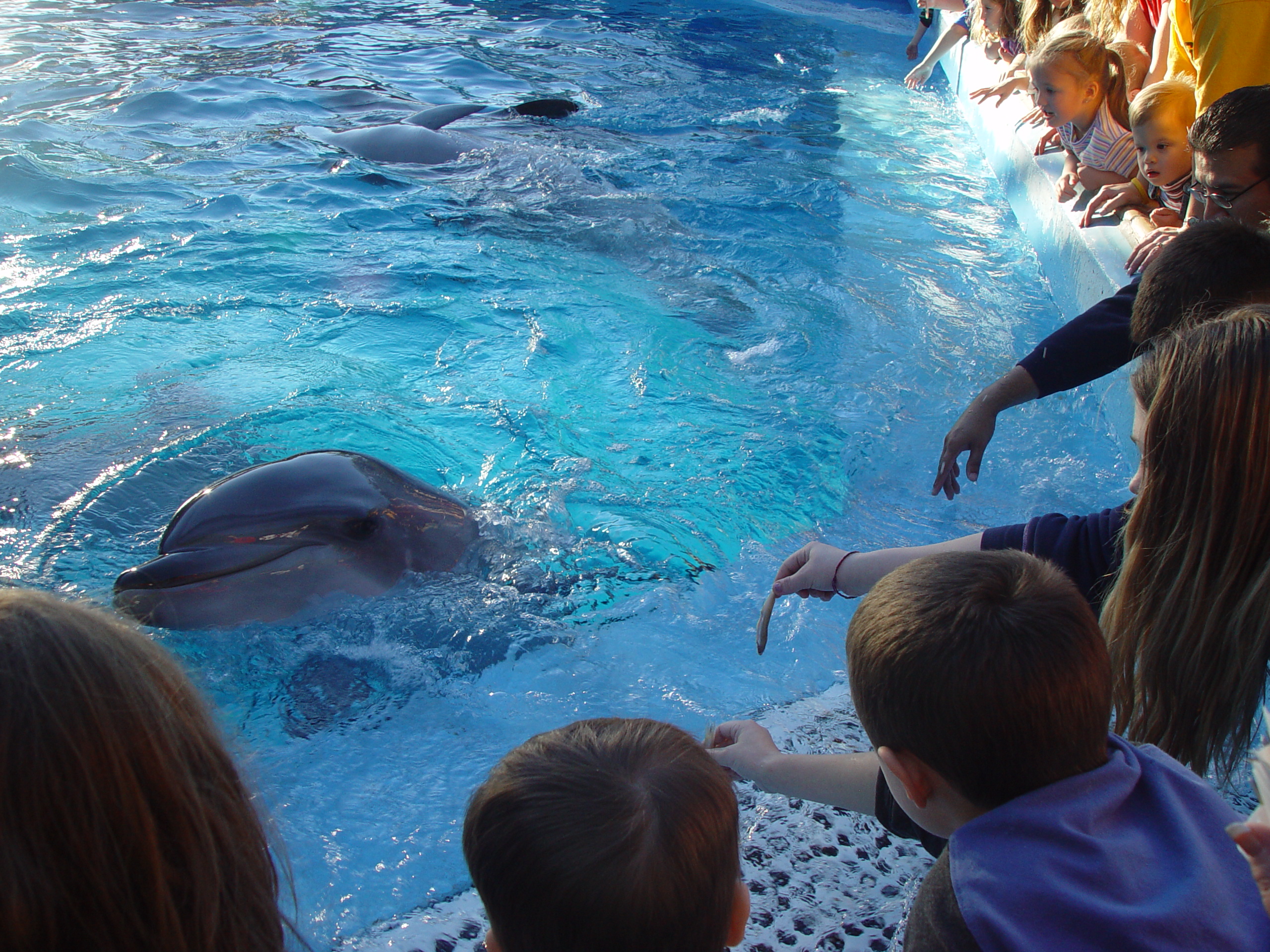 Thanksgiving 2004, Seaworld, Zack's Early 2nd Birthday