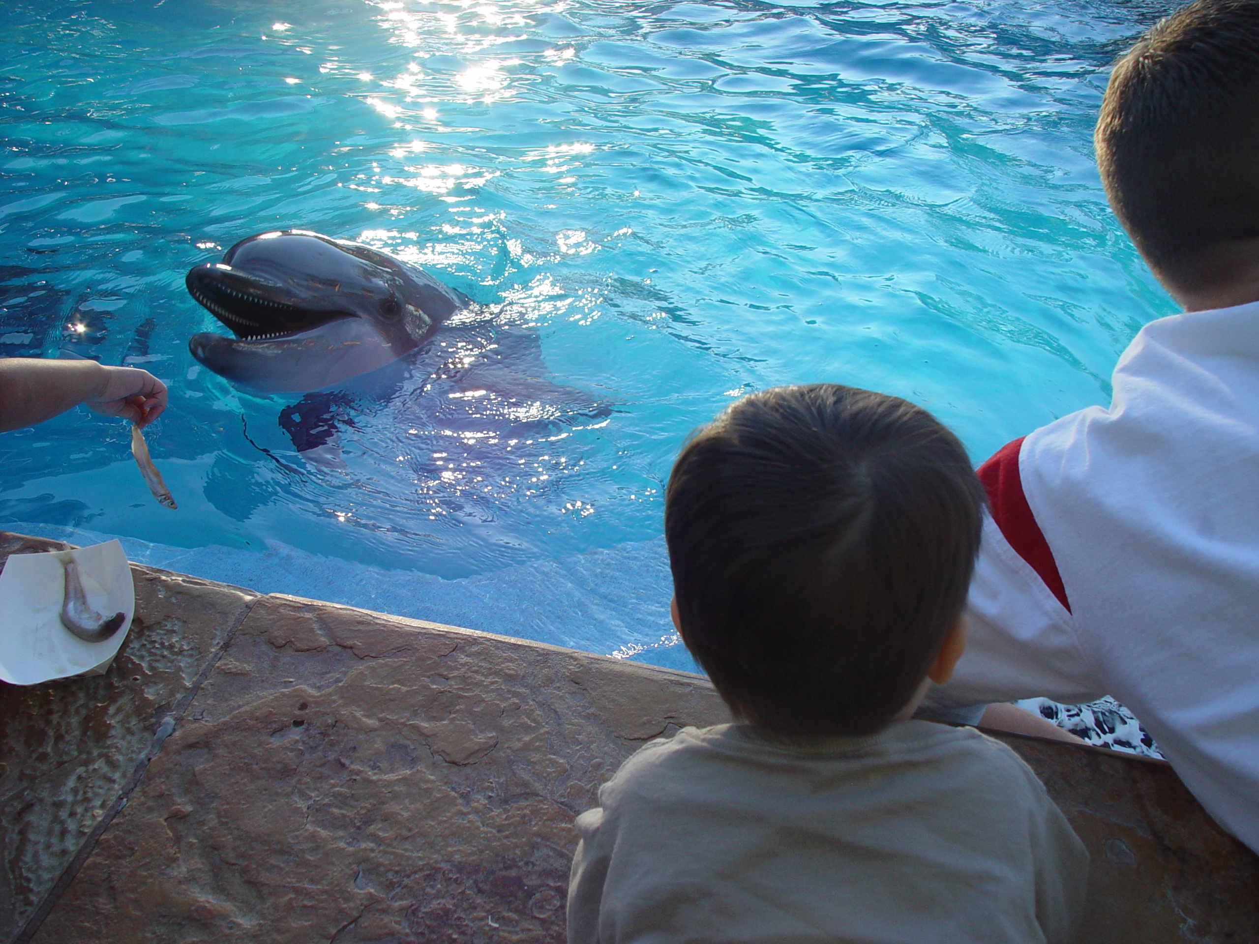 Thanksgiving 2004, Seaworld, Zack's Early 2nd Birthday