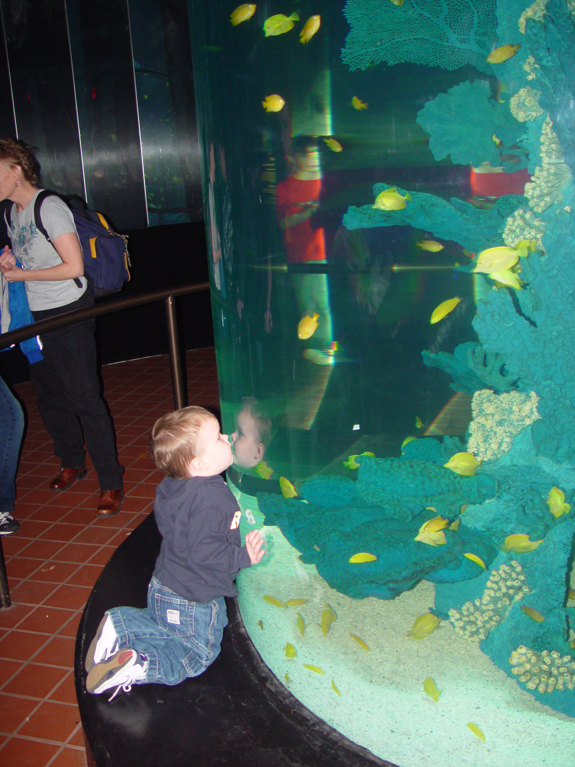 Thanksgiving 2004, Seaworld, Zack's Early 2nd Birthday