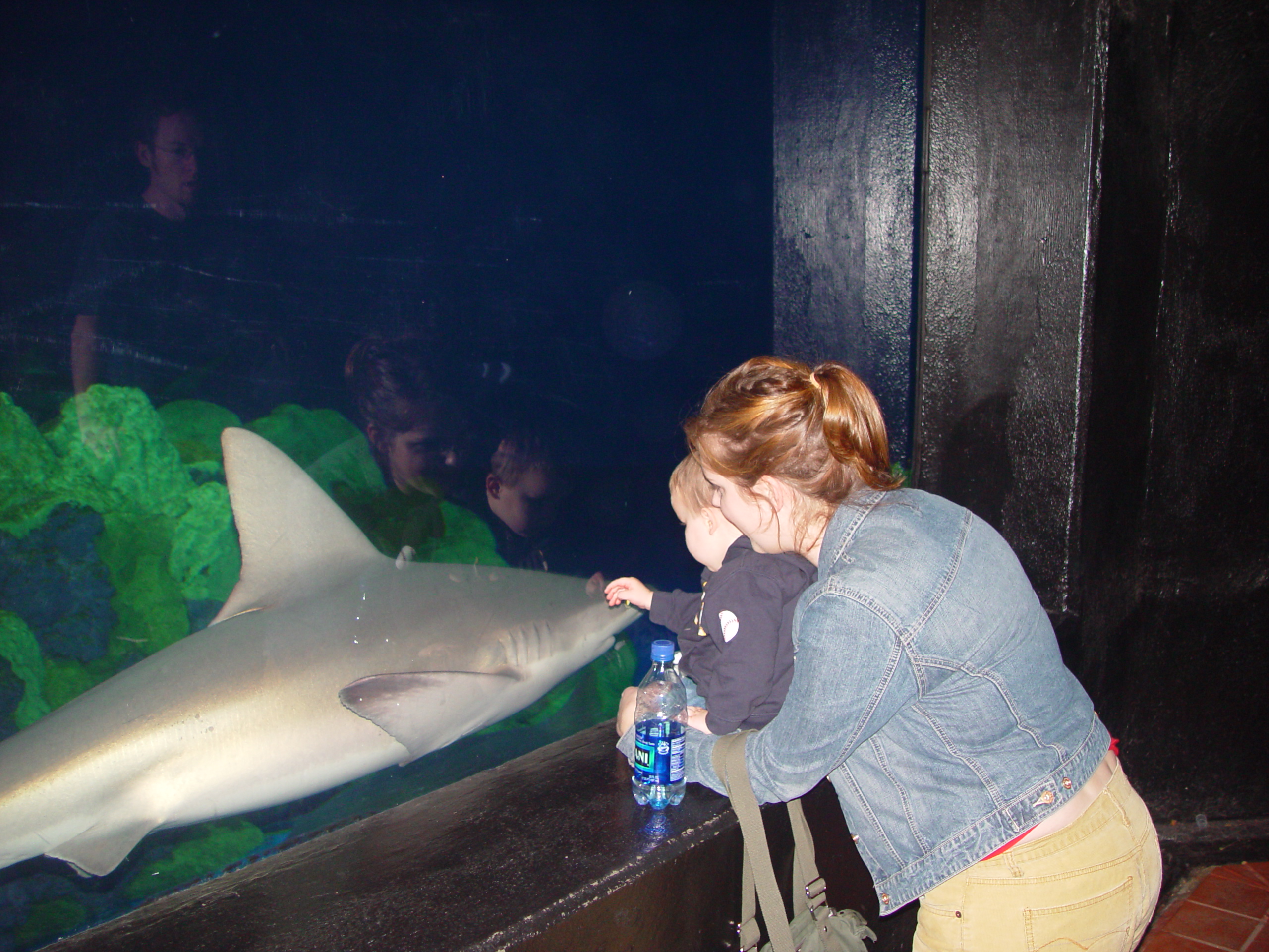 Thanksgiving 2004, Seaworld, Zack's Early 2nd Birthday