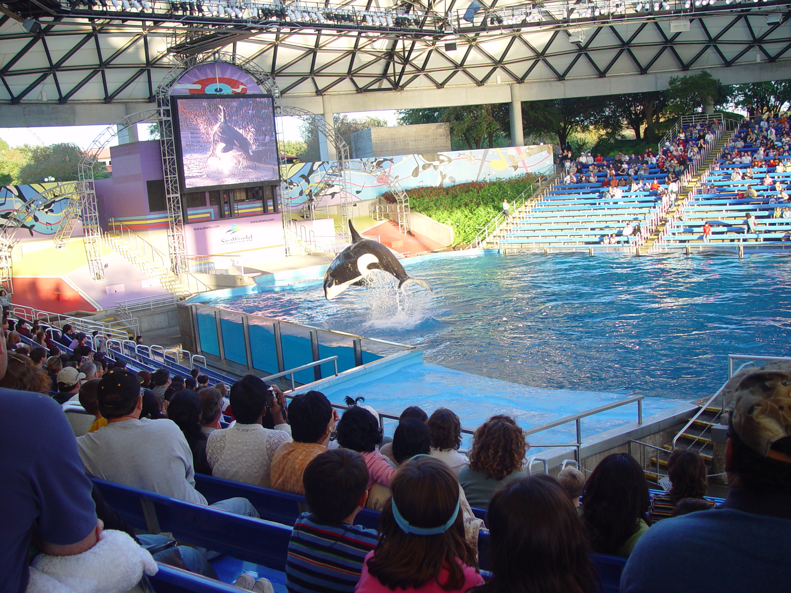 Thanksgiving 2004, Seaworld, Zack's Early 2nd Birthday