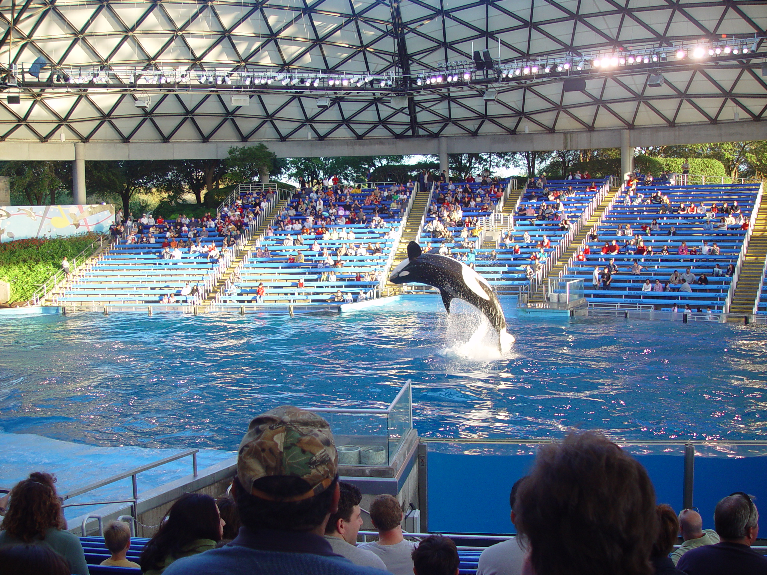 Thanksgiving 2004, Seaworld, Zack's Early 2nd Birthday