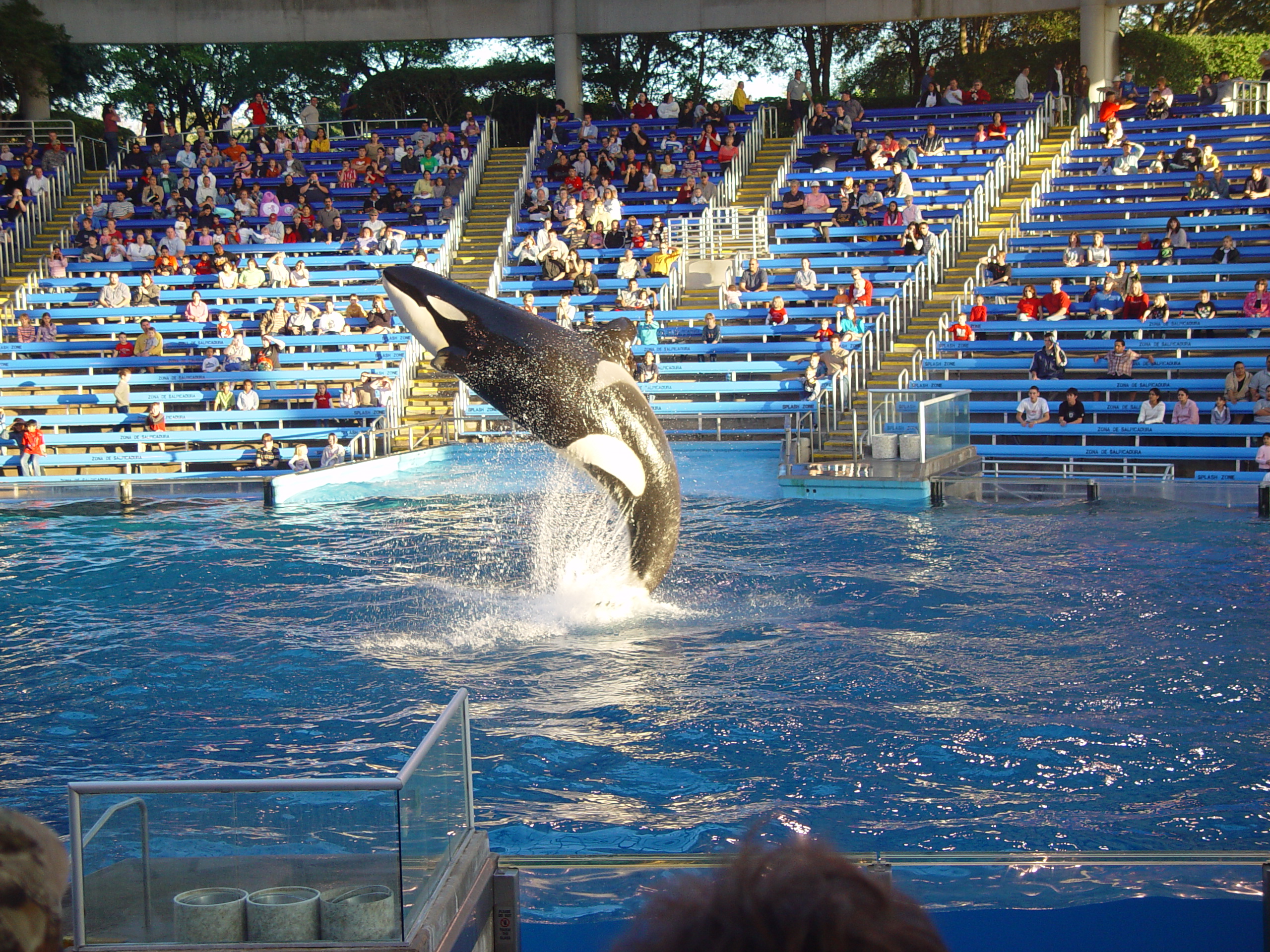 Thanksgiving 2004, Seaworld, Zack's Early 2nd Birthday