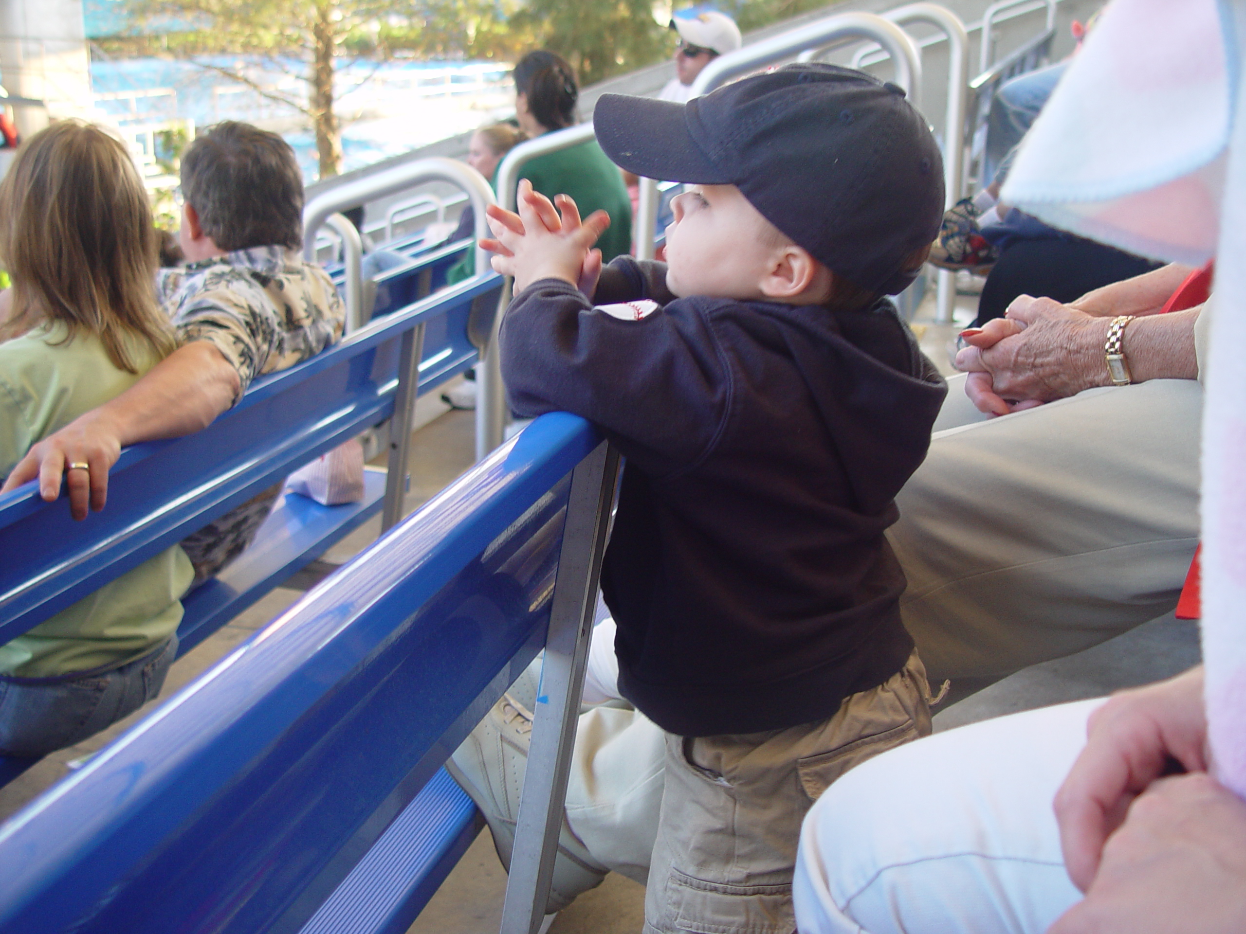 Thanksgiving 2004, Seaworld, Zack's Early 2nd Birthday