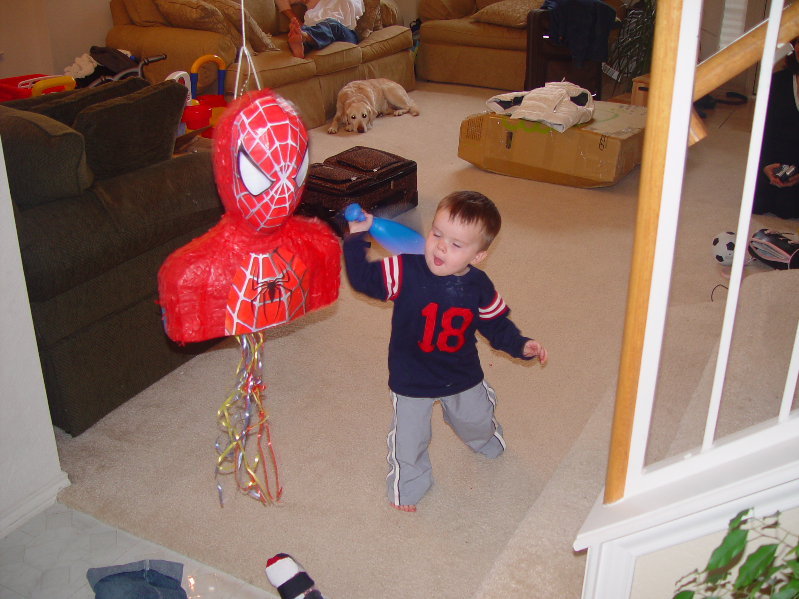 Thanksgiving 2004, Seaworld, Zack's Early 2nd Birthday