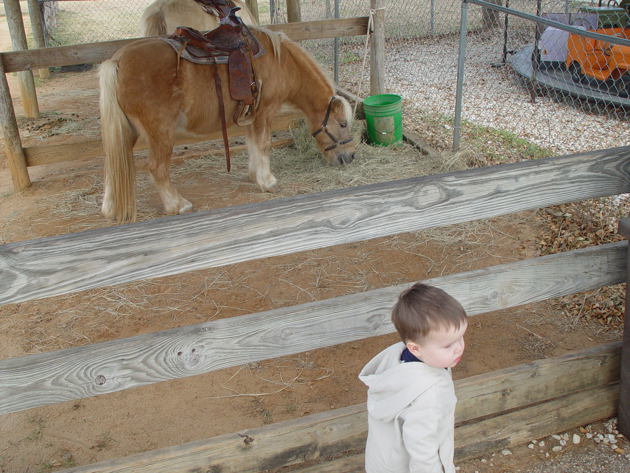 Kiddie Acres, LBJ Library