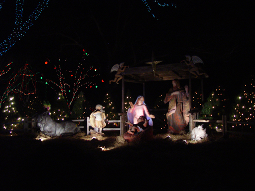 Austin's Trail of Lights, Christmas 2004