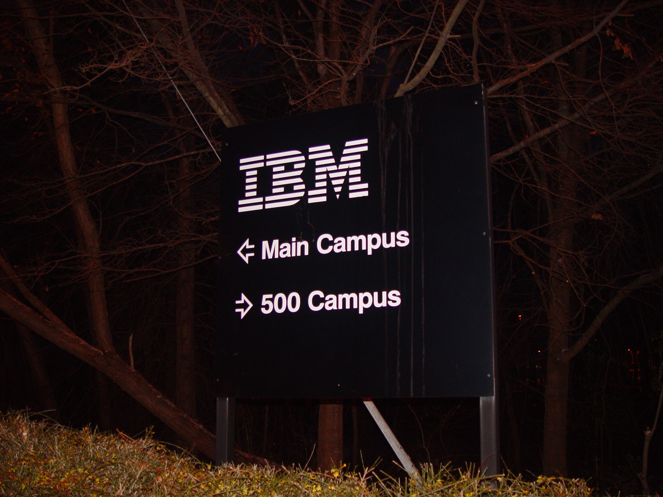 IBM Business Trip - Raleigh, North Carolina