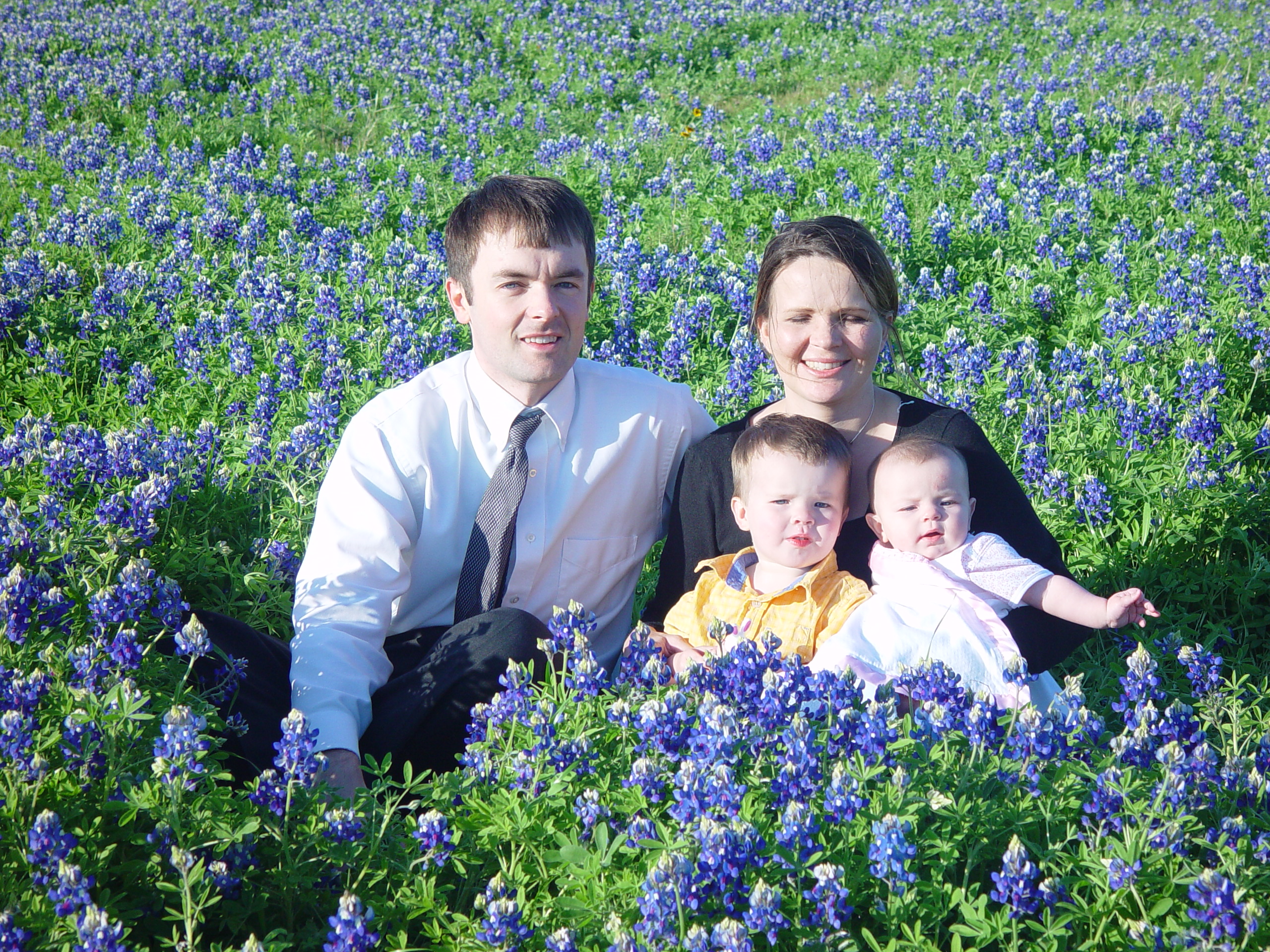 Texas Bluebonnets, Willow City Loop