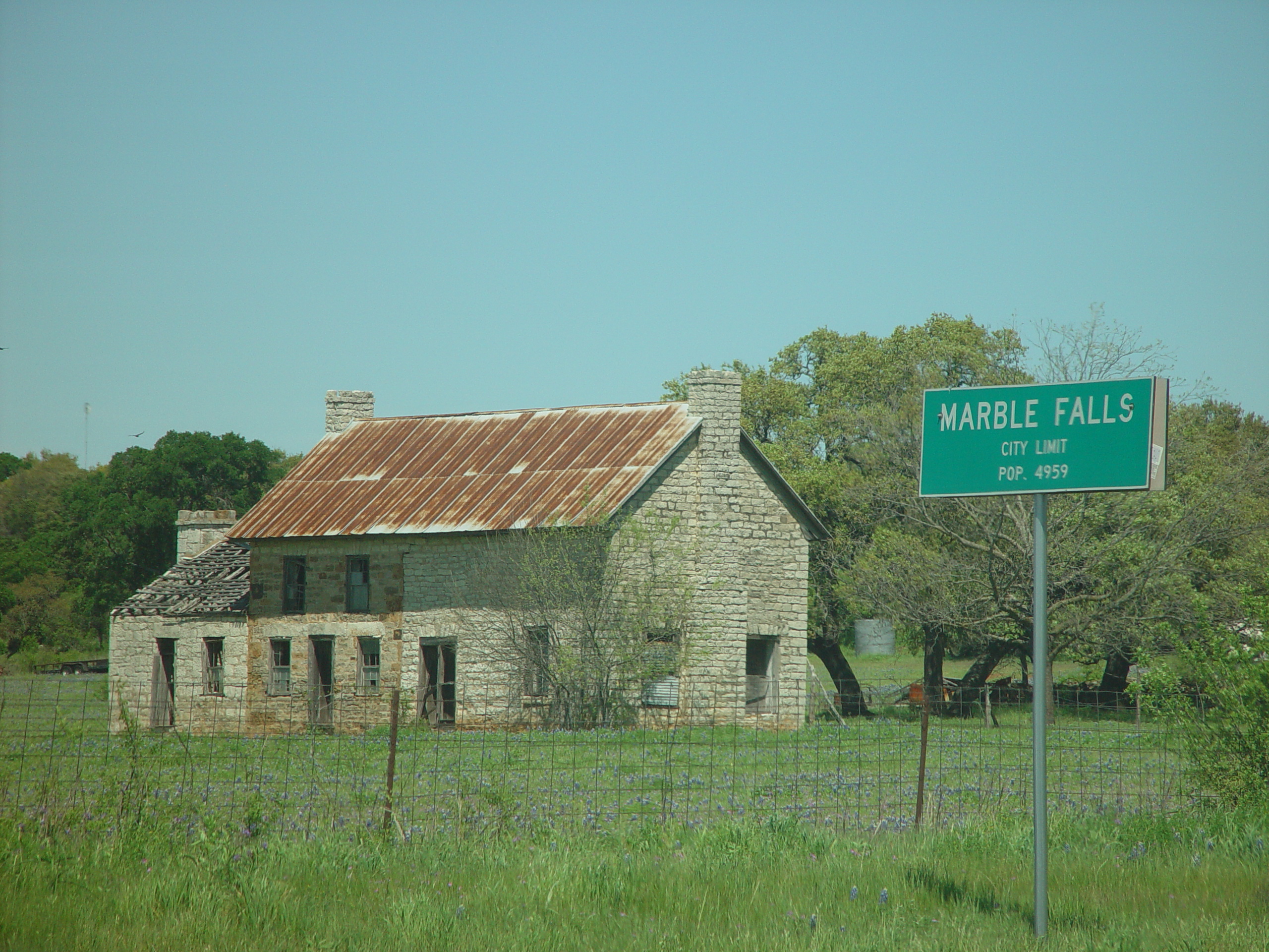 Texas Bluebonnets, Willow City Loop