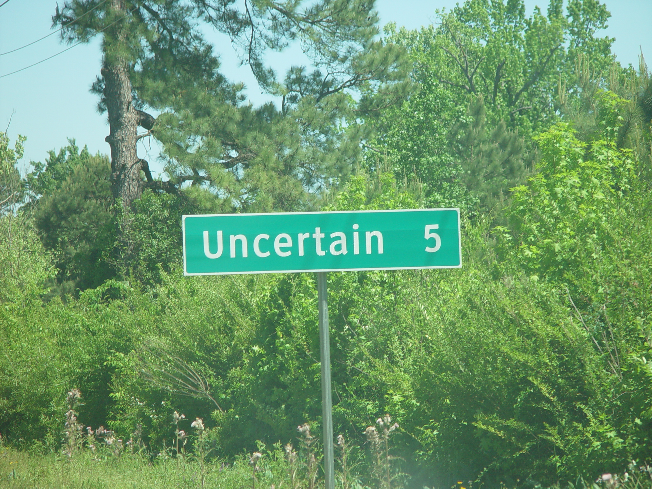 Tri-State Trip - Uncertain, TX, Caddo Lake State Park, Jefferson, TX