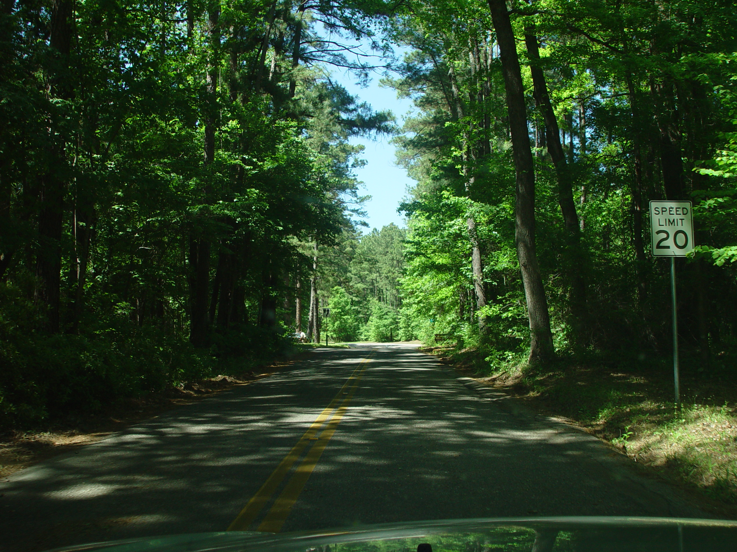 Tri-State Trip - Uncertain, TX, Caddo Lake State Park, Jefferson, TX