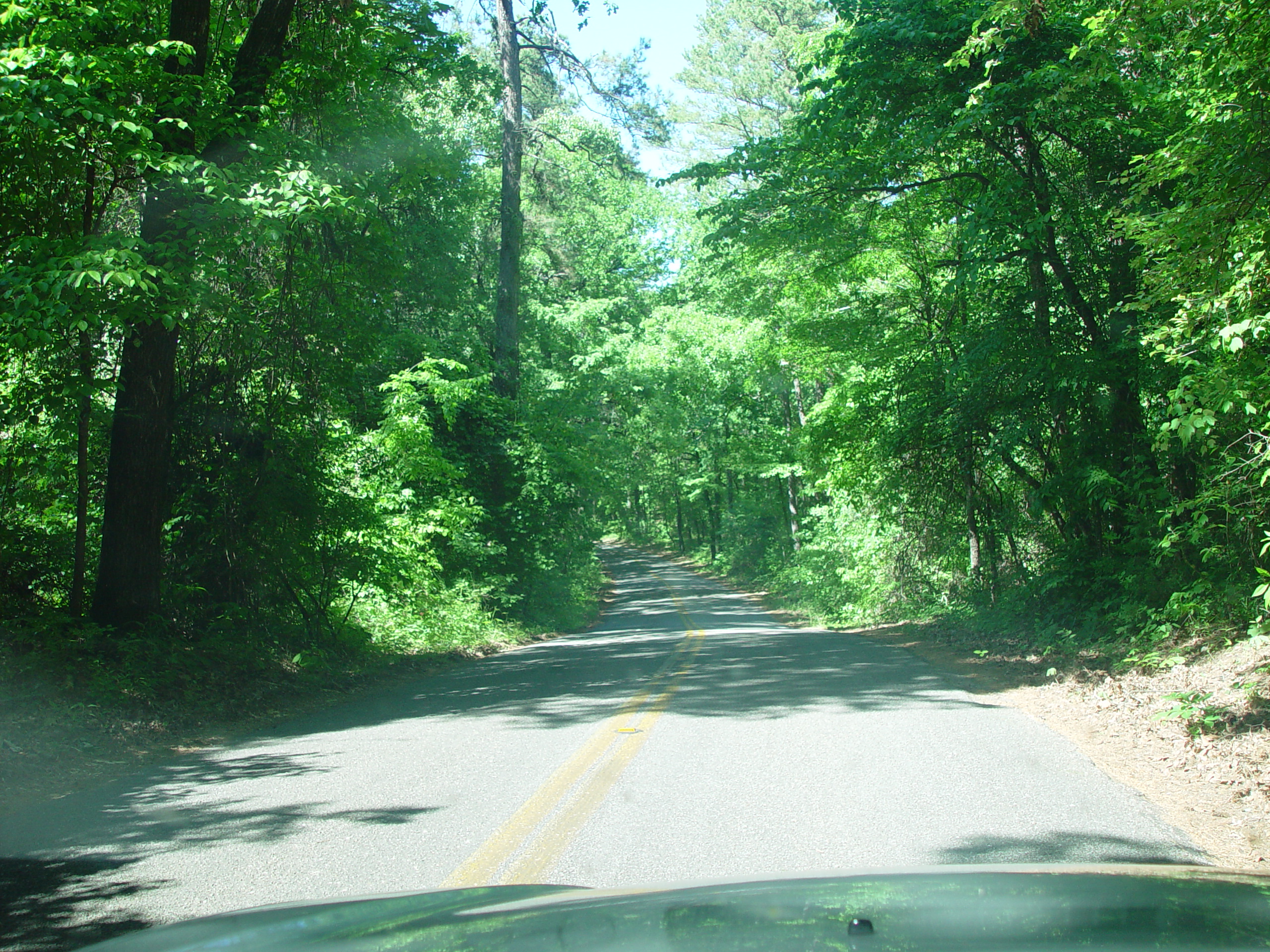 Tri-State Trip - Uncertain, TX, Caddo Lake State Park, Jefferson, TX