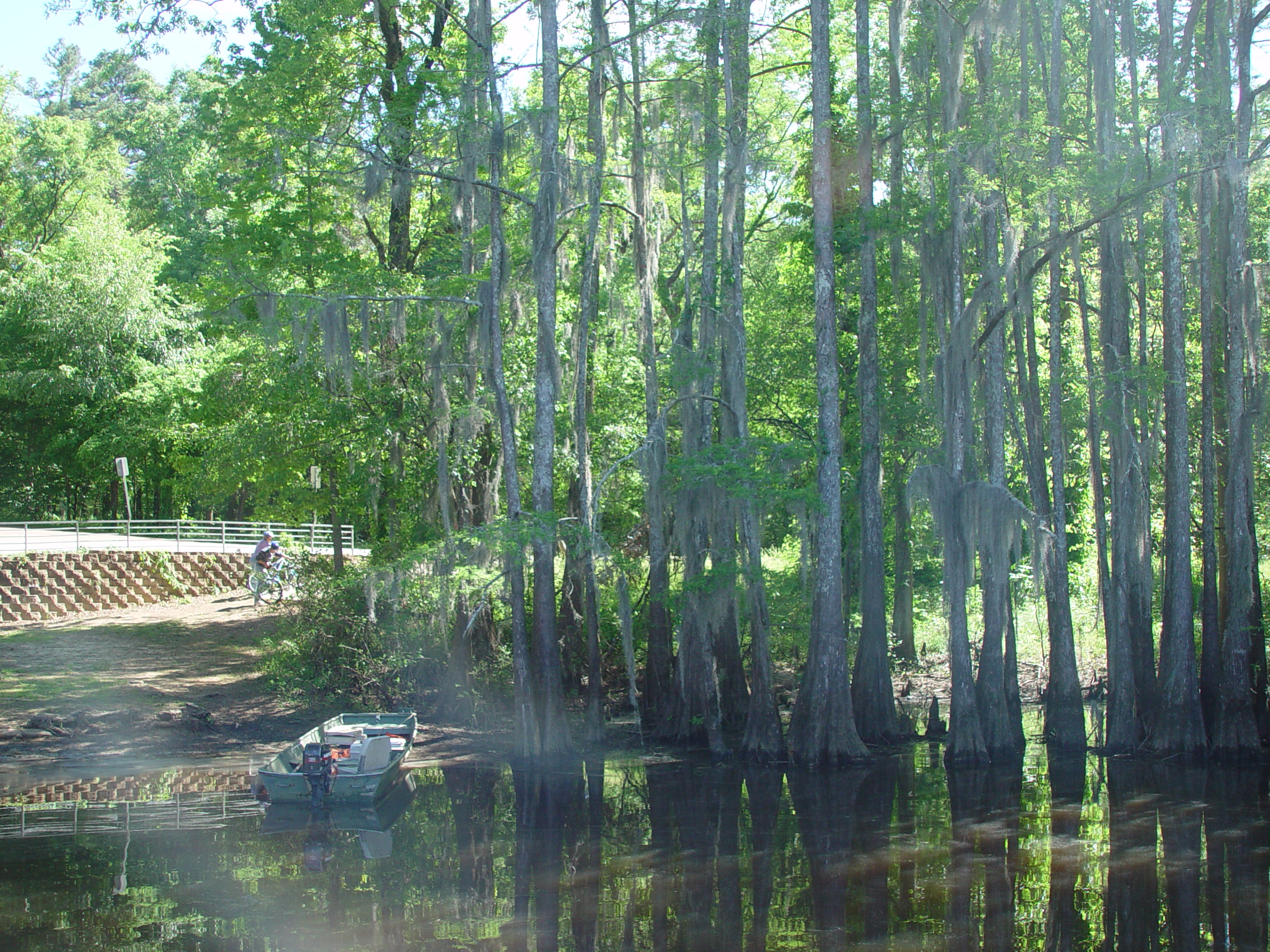 Tri-State Trip - Uncertain, TX, Caddo Lake State Park, Jefferson, TX