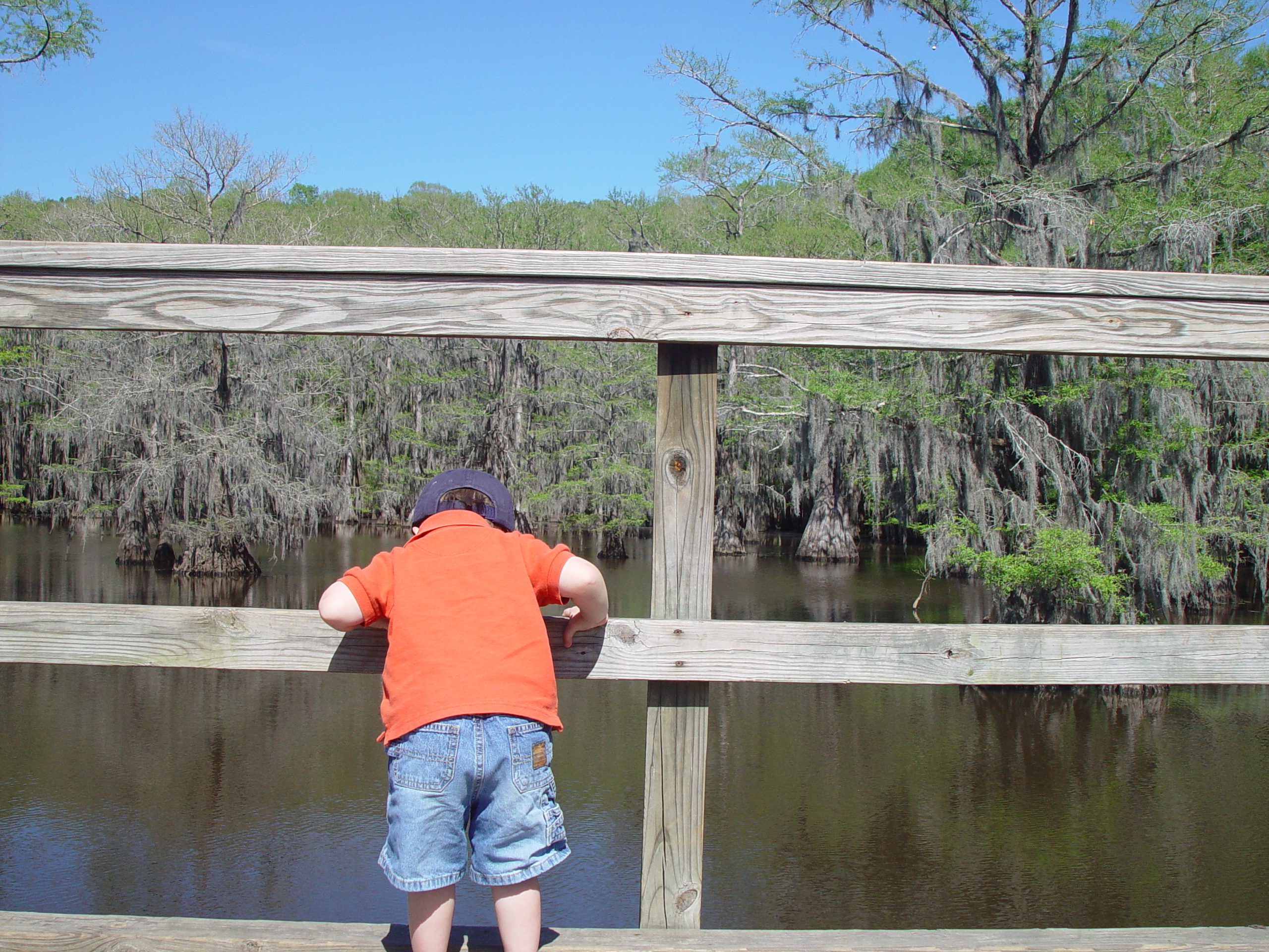 Tri-State Trip - Uncertain, TX, Caddo Lake State Park, Jefferson, TX