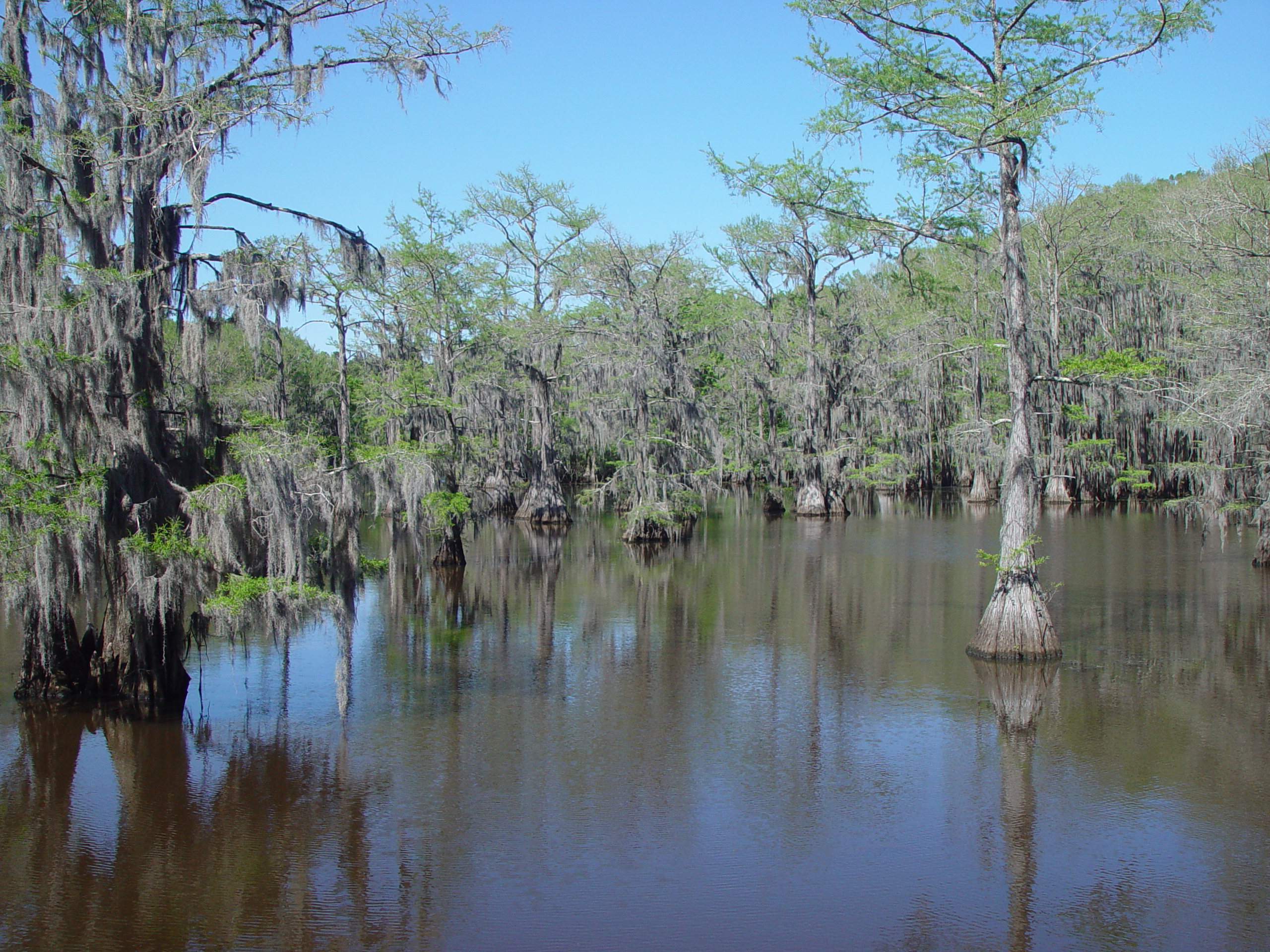 Tri-State Trip - Uncertain, TX, Caddo Lake State Park, Jefferson, TX