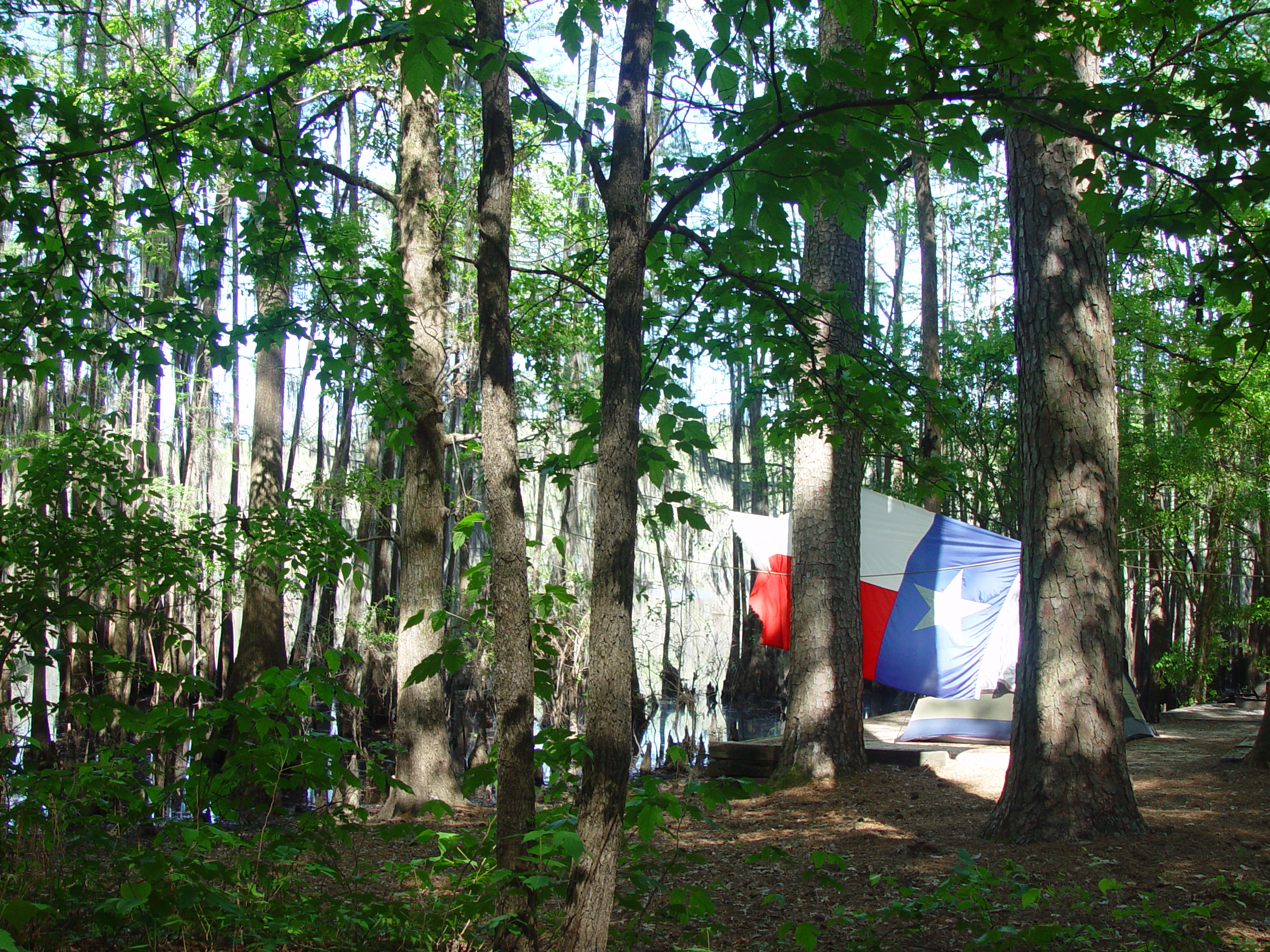 Tri-State Trip - Uncertain, TX, Caddo Lake State Park, Jefferson, TX