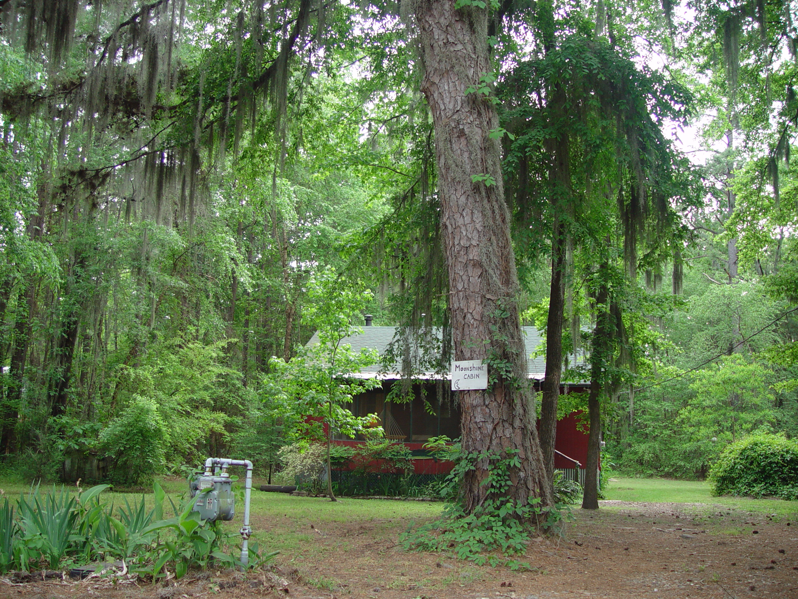 Tri-State Trip - Uncertain, TX, Caddo Lake State Park, Jefferson, TX