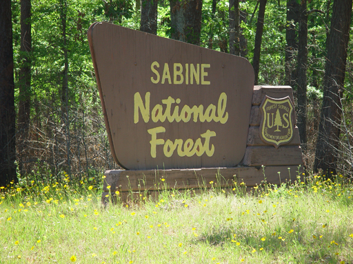 Tri-State Trip - National Forests: Sam Houston, Davy Crockett, Angelina, Sabine