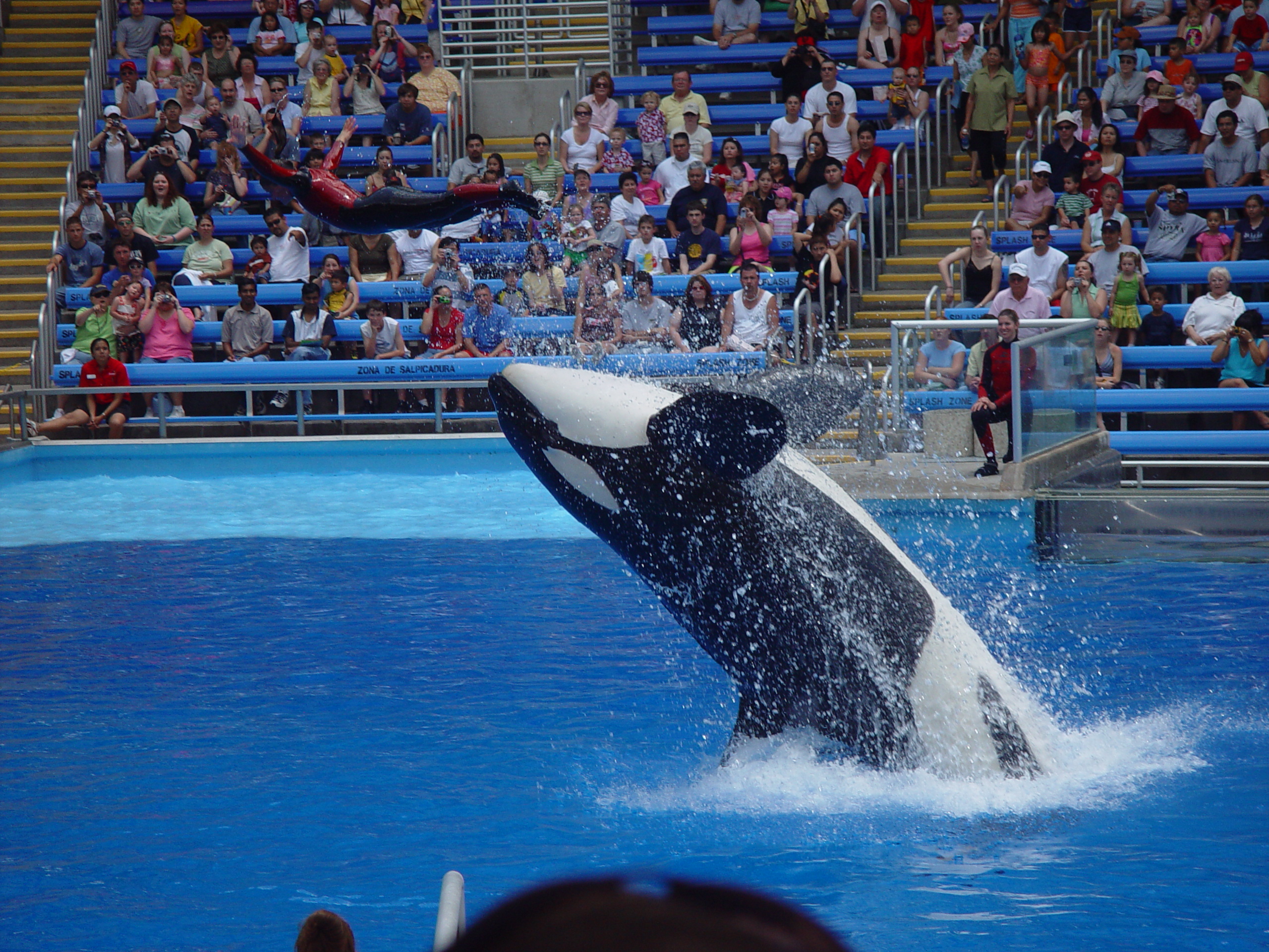 Sea World with Matt & Carrie (San Antonio, TX)