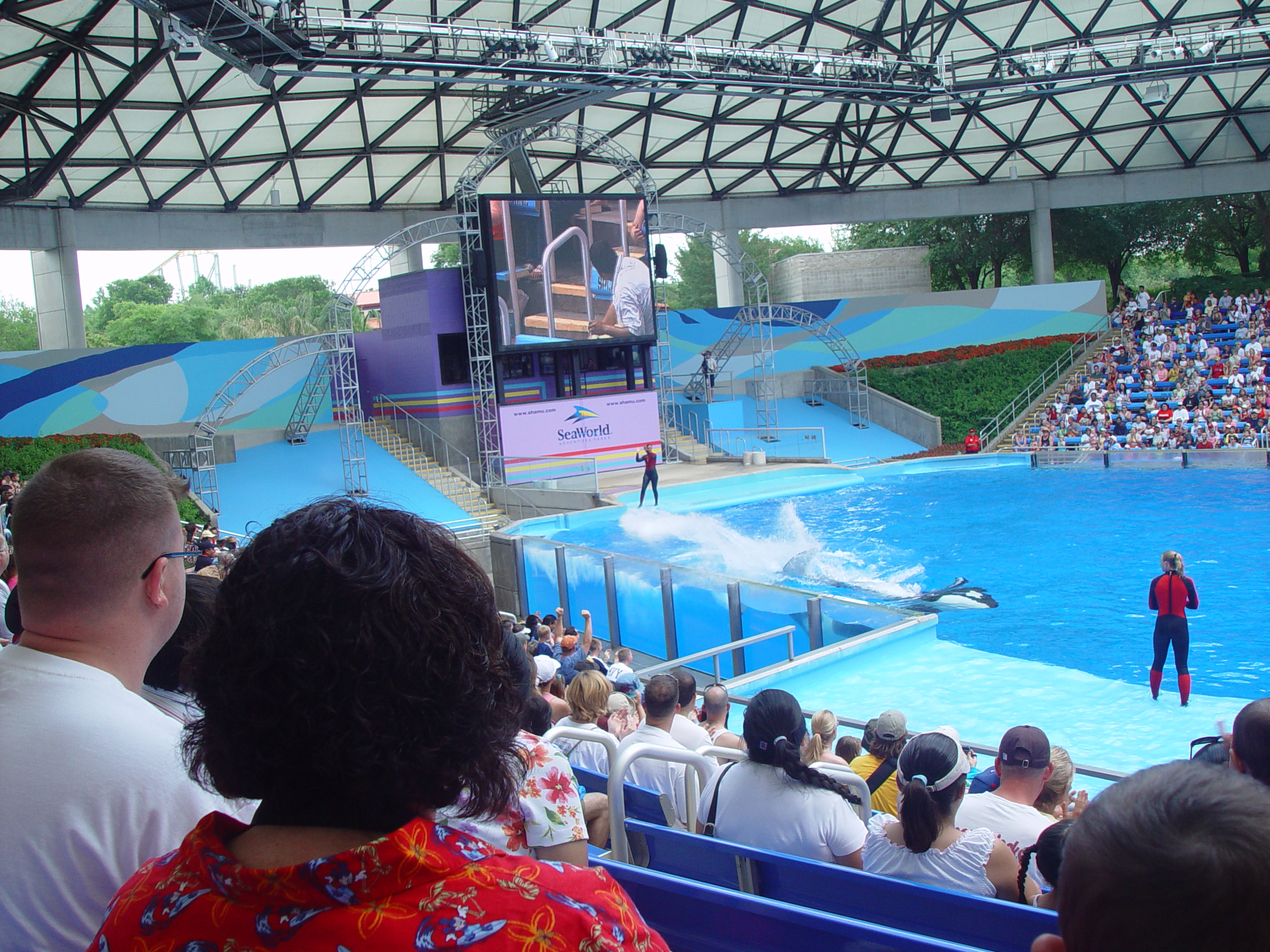 Sea World with Matt & Carrie (San Antonio, TX)