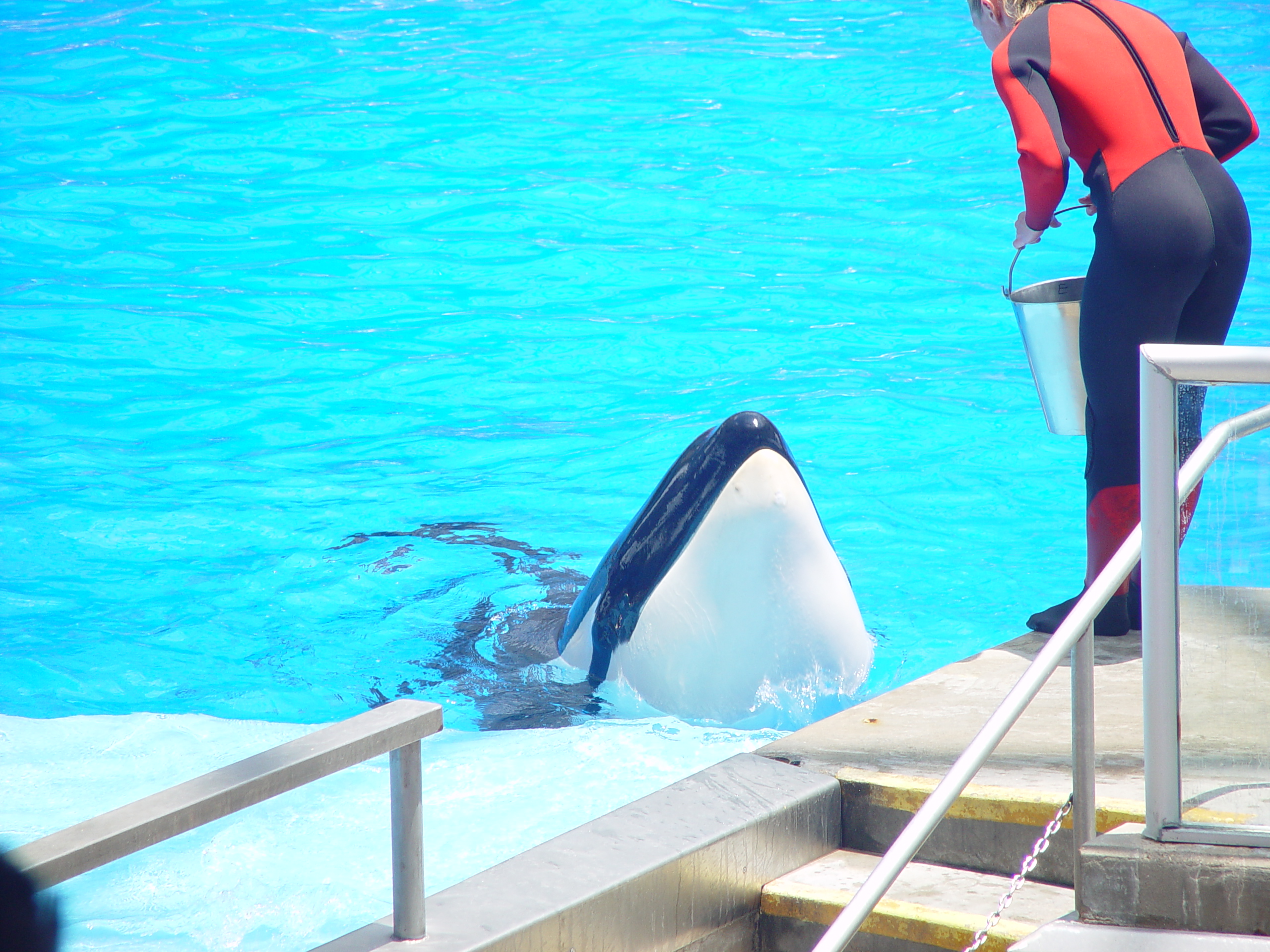 Sea World with Matt & Carrie (San Antonio, TX)