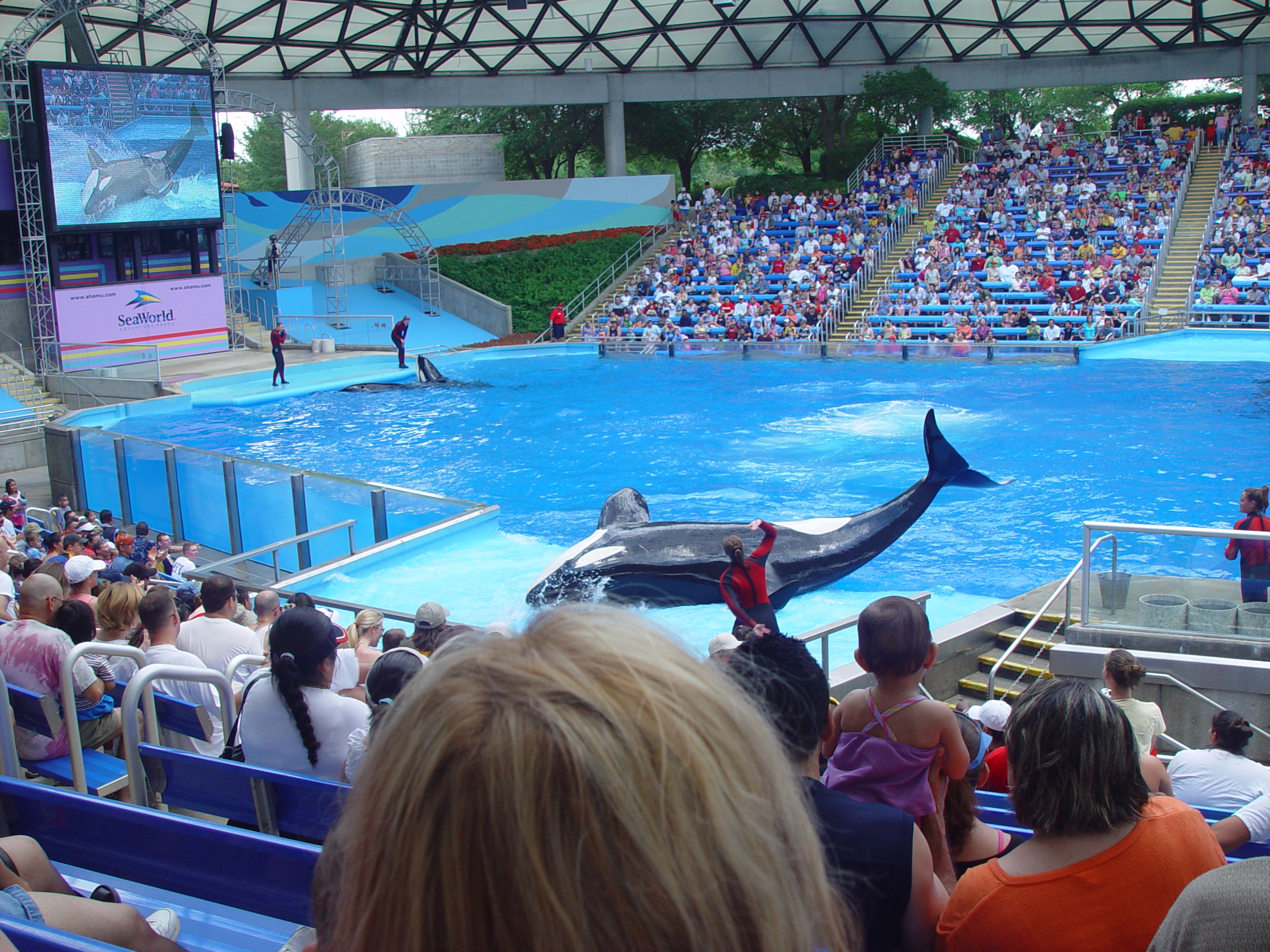 Sea World with Matt & Carrie (San Antonio, TX)