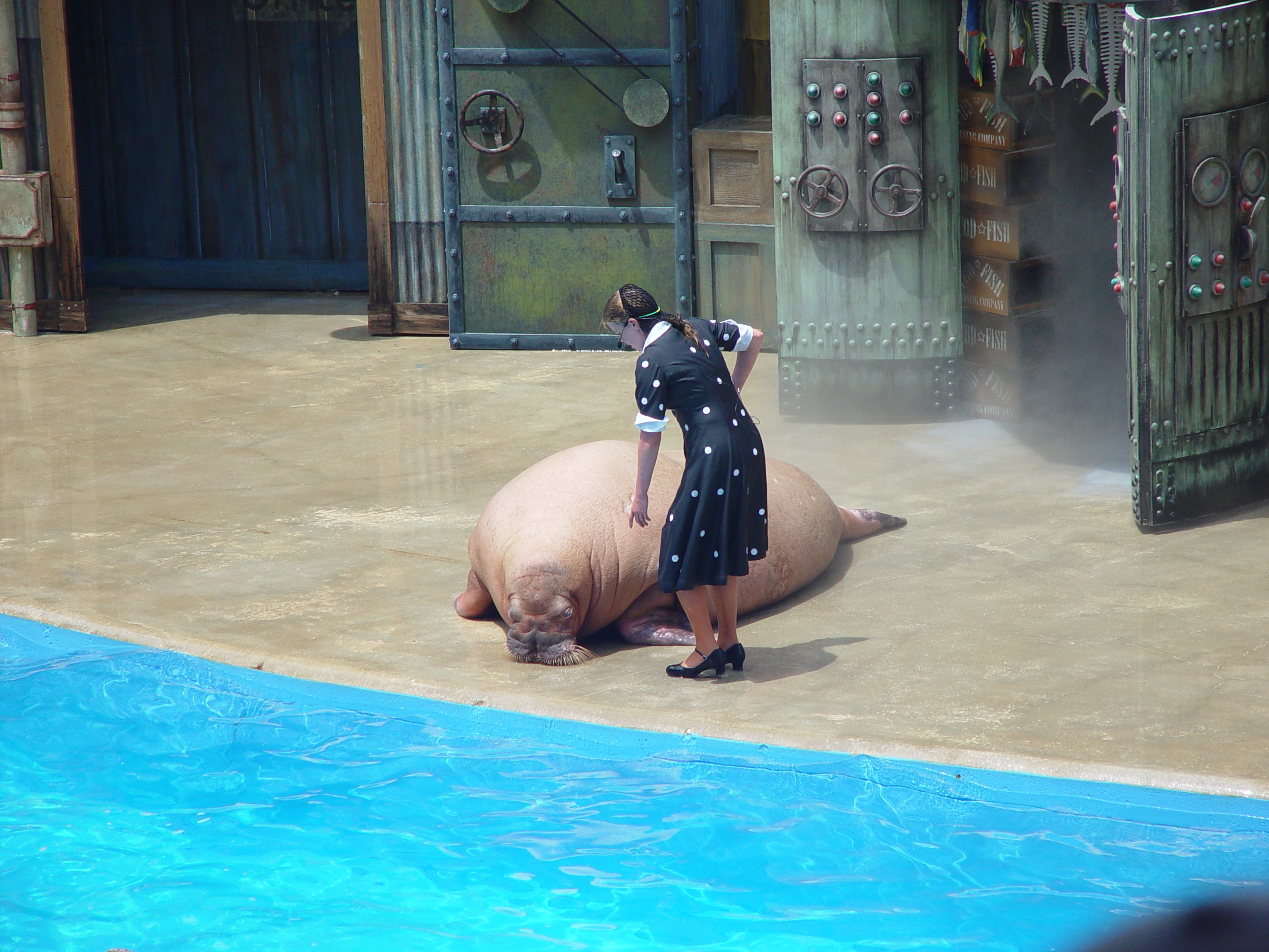 Sea World with Matt & Carrie (San Antonio, TX)