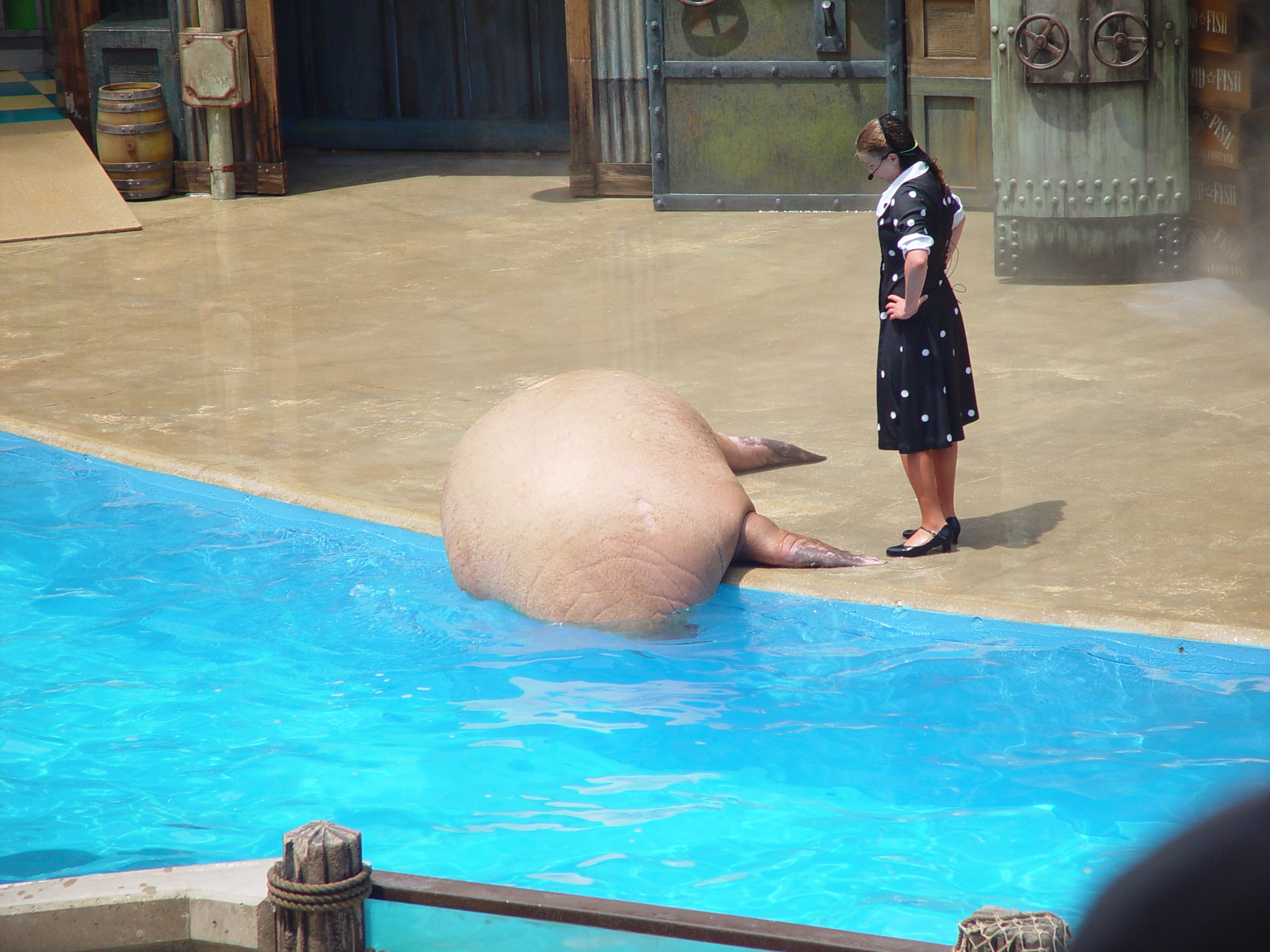 Sea World with Matt & Carrie (San Antonio, TX)