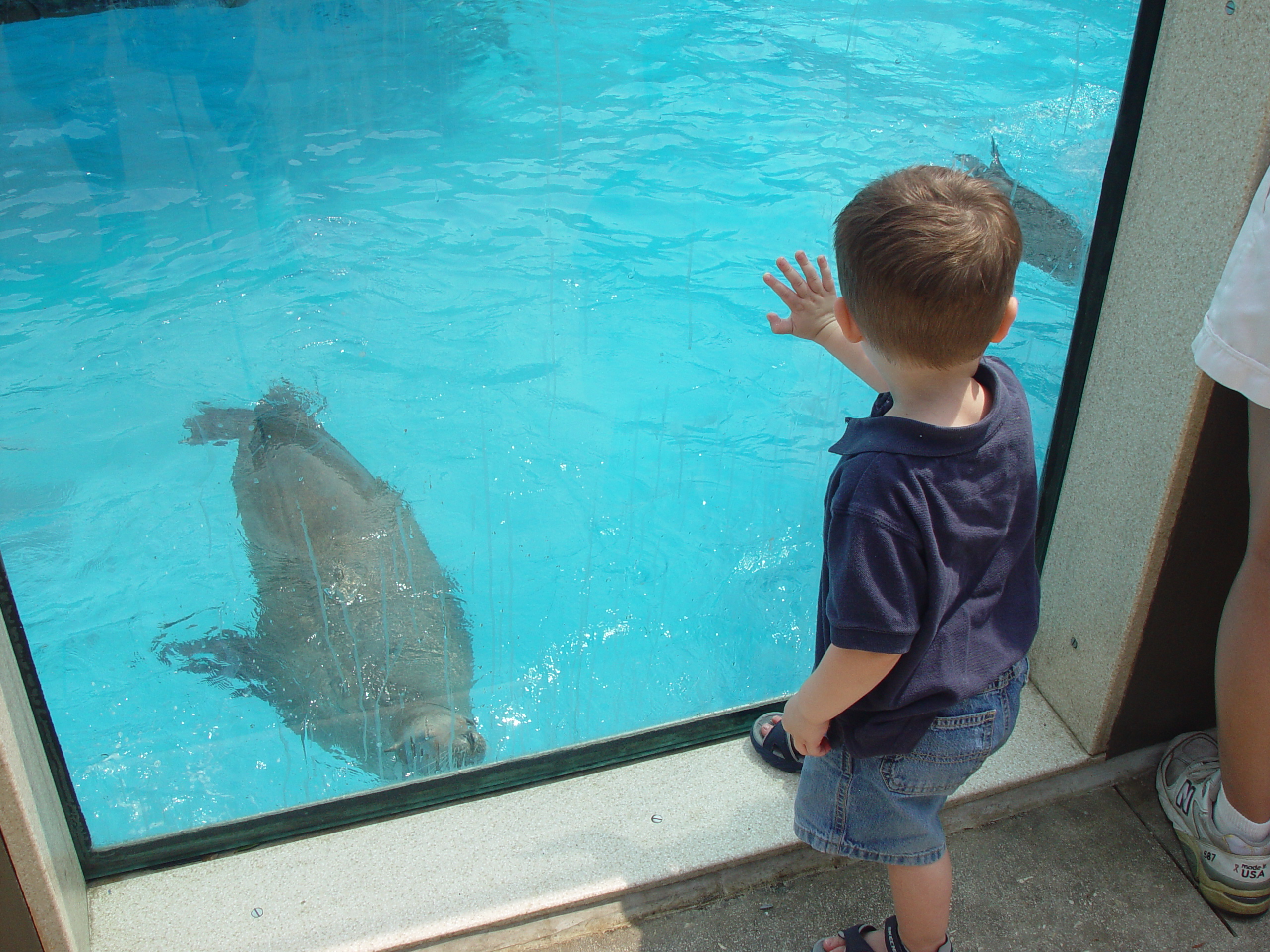 Sea World with Matt & Carrie (San Antonio, TX)