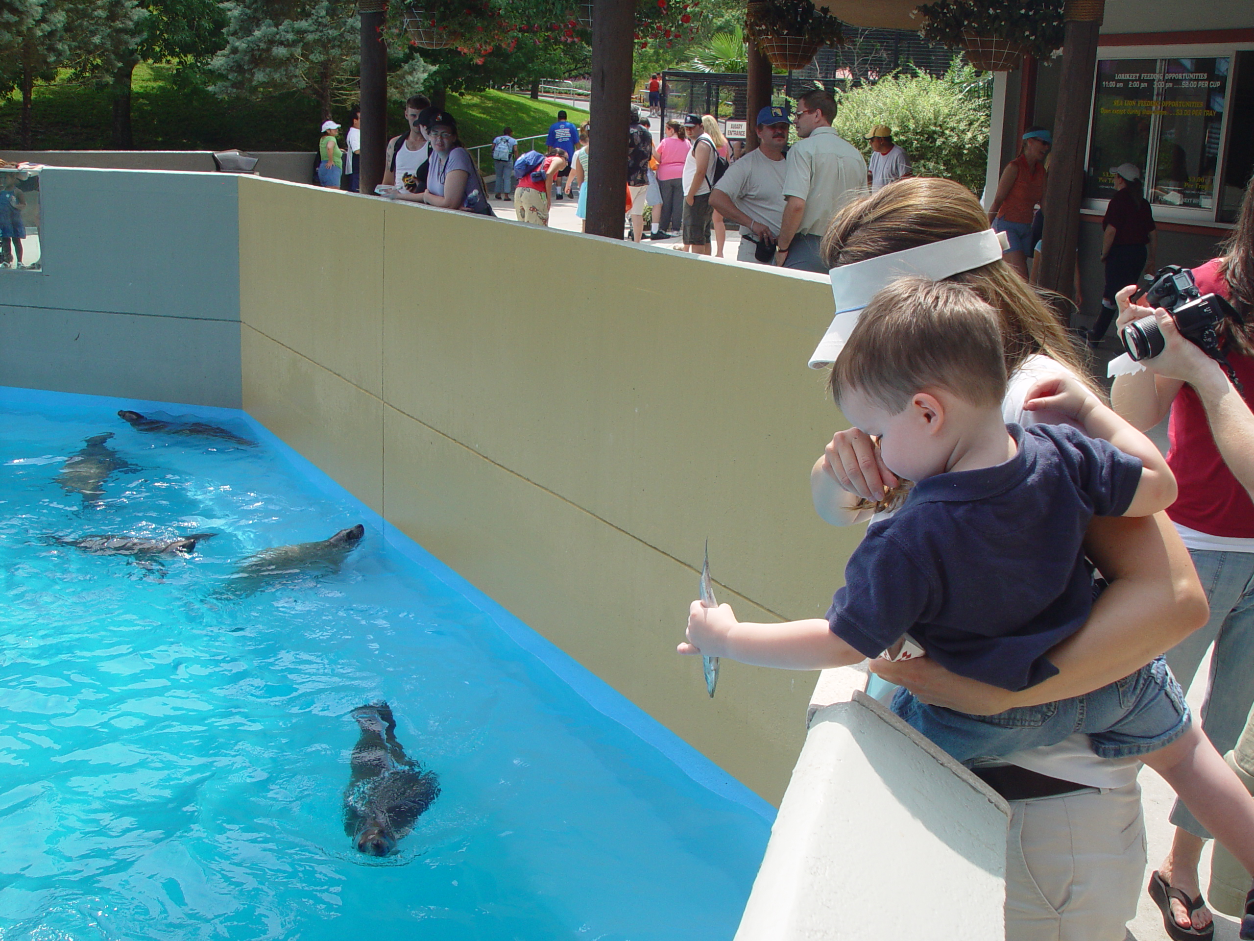 Sea World with Matt & Carrie (San Antonio, TX)