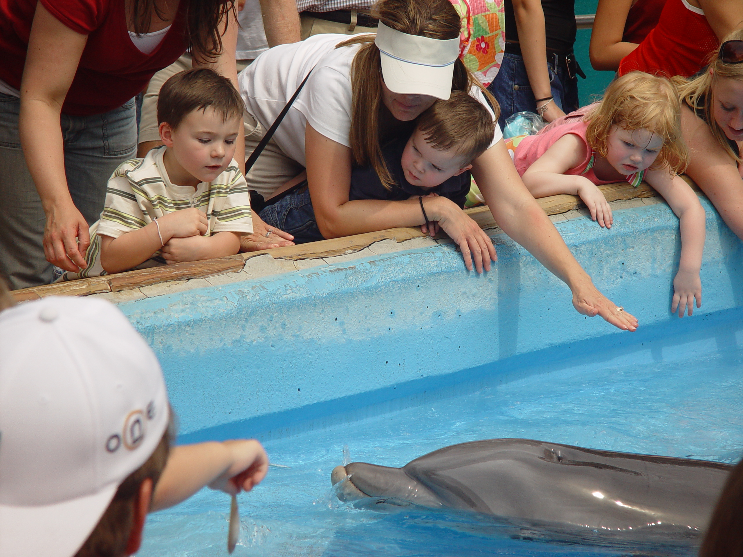 Sea World with Matt & Carrie (San Antonio, TX)