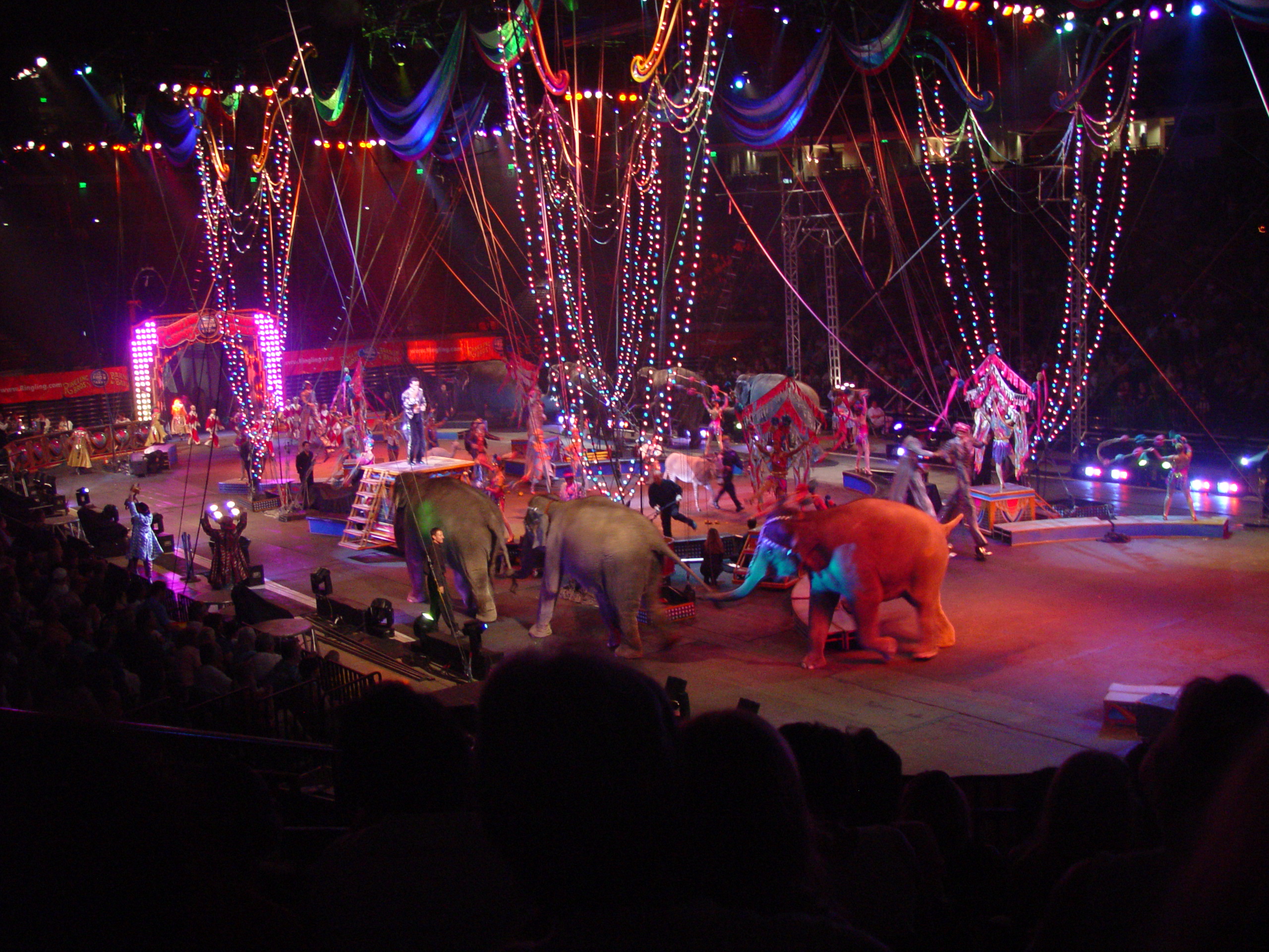 Ringling Bros. and Barnum & Bailey Circus with Grandma Palmer