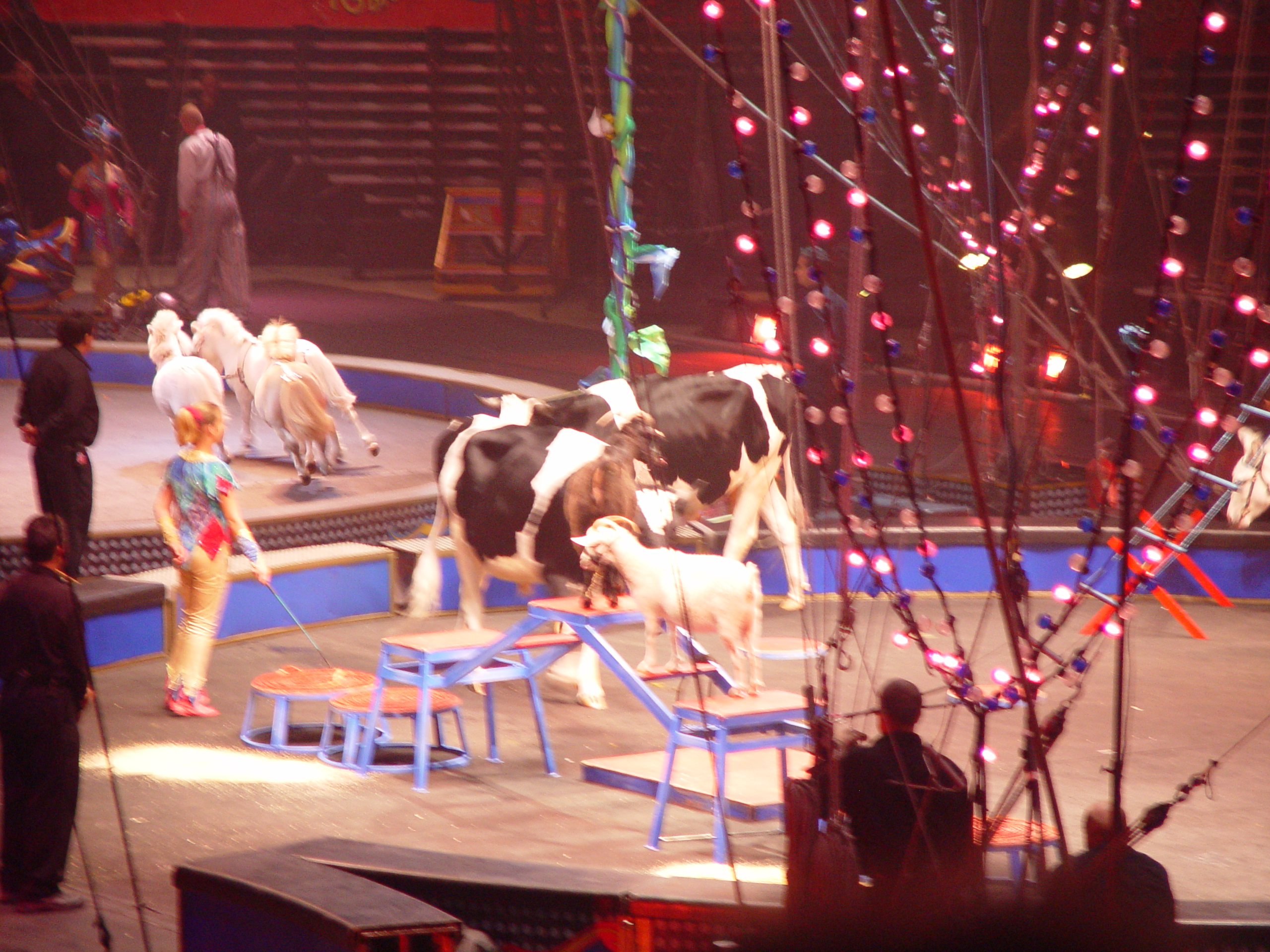 Ringling Bros. and Barnum & Bailey Circus with Grandma Palmer