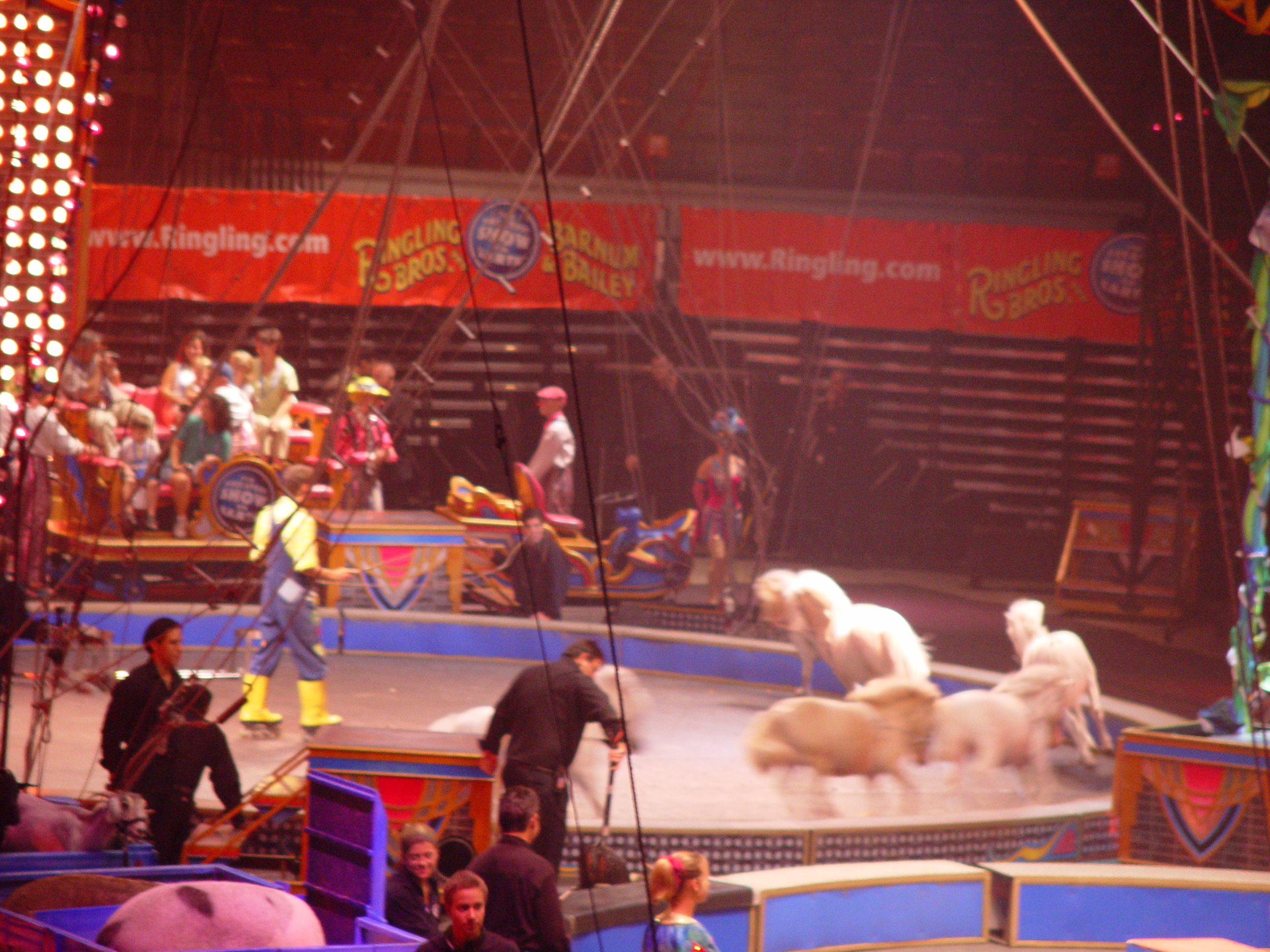 Ringling Bros. and Barnum & Bailey Circus with Grandma Palmer