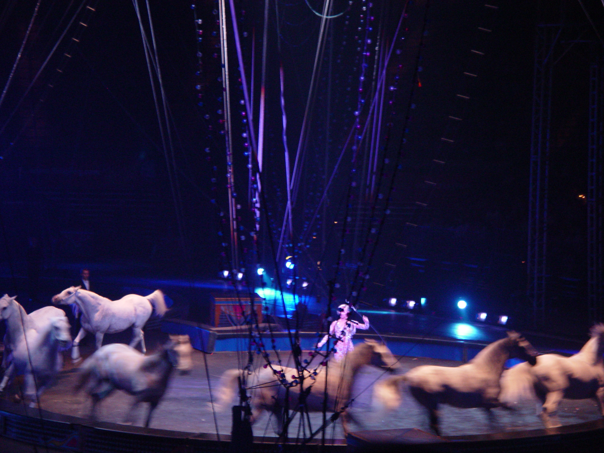 Ringling Bros. and Barnum & Bailey Circus with Grandma Palmer