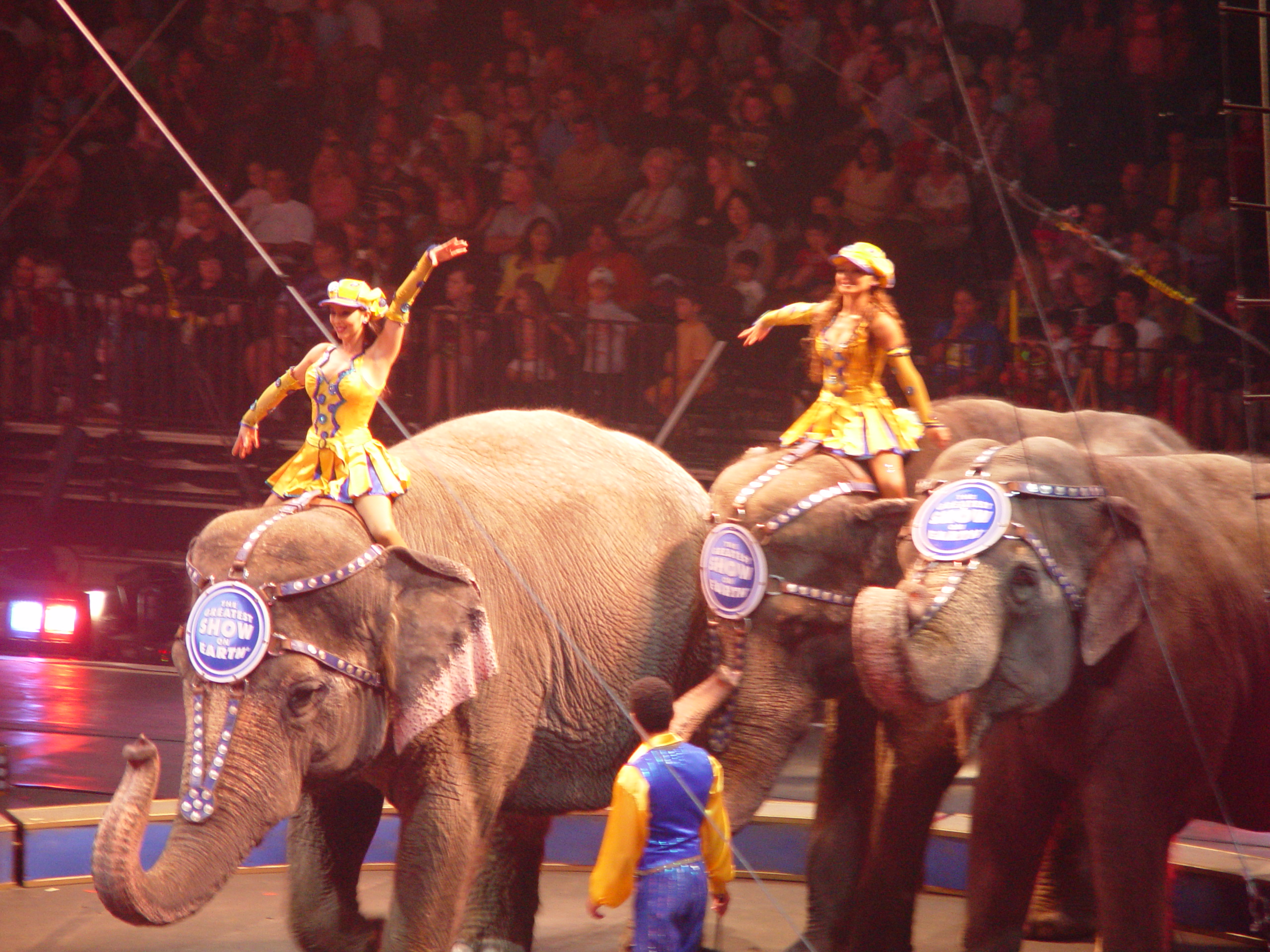 Ringling Bros. and Barnum & Bailey Circus with Grandma Palmer