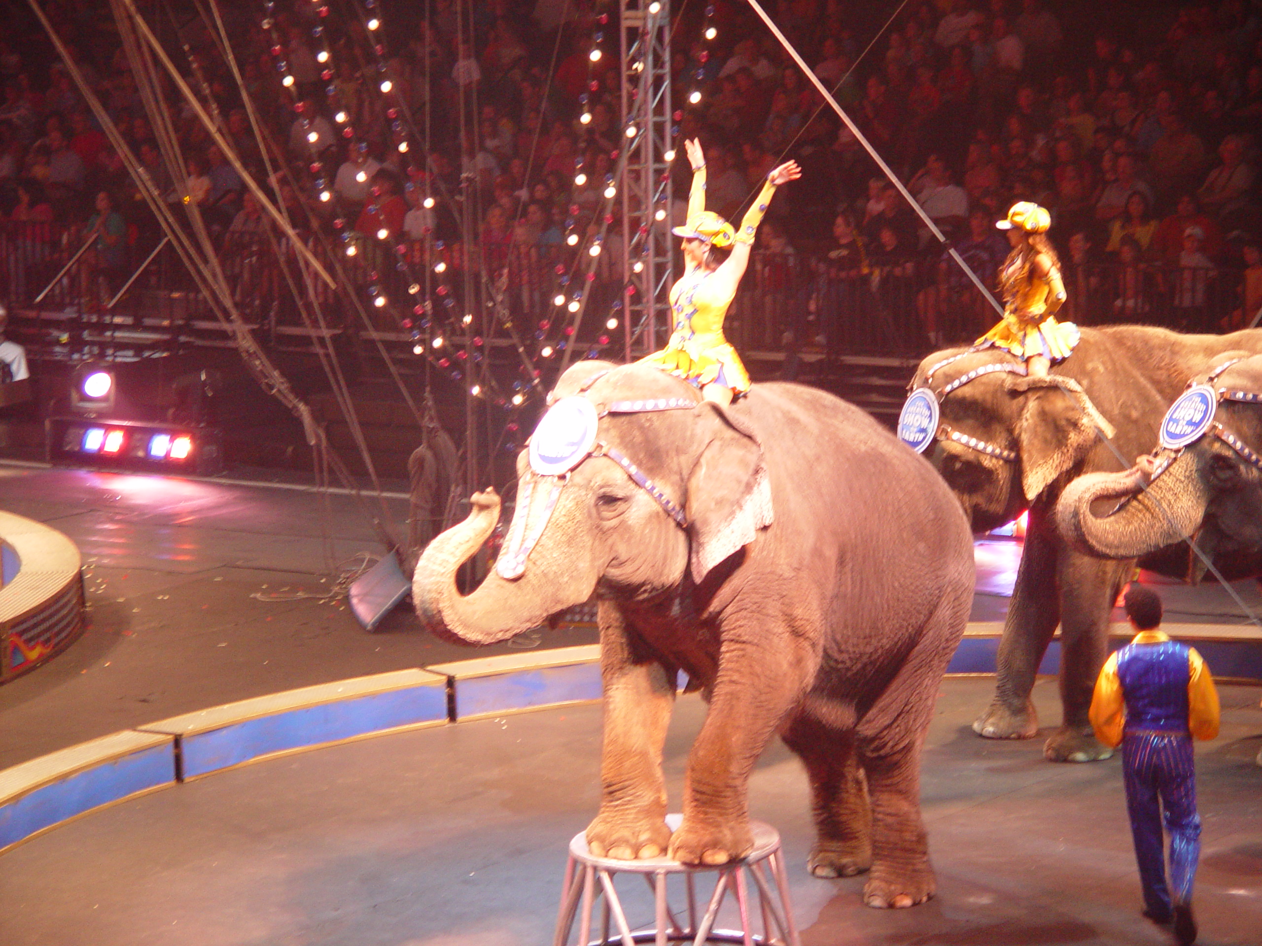 Ringling Bros. and Barnum & Bailey Circus with Grandma Palmer