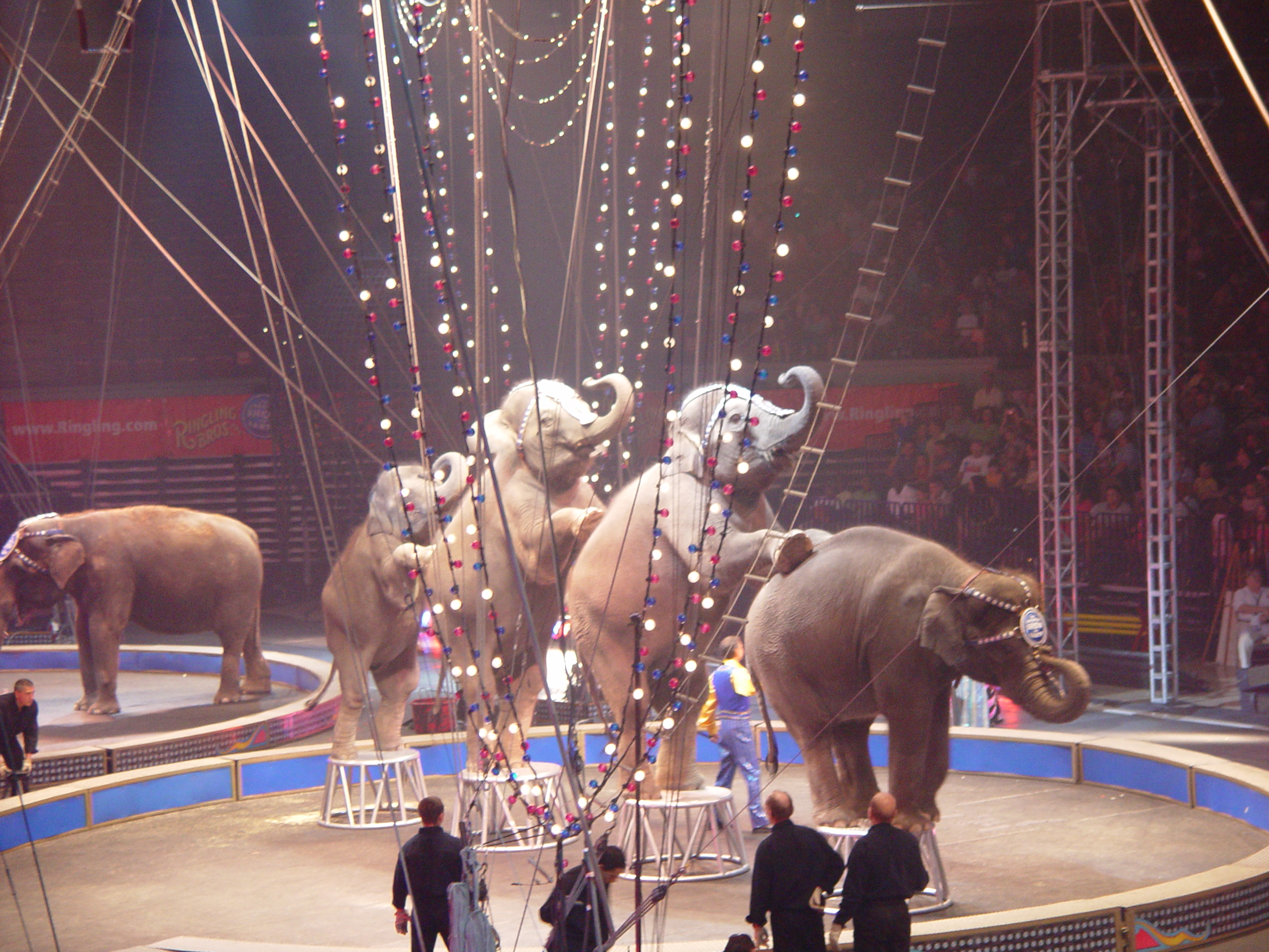 Ringling Bros. and Barnum & Bailey Circus with Grandma Palmer