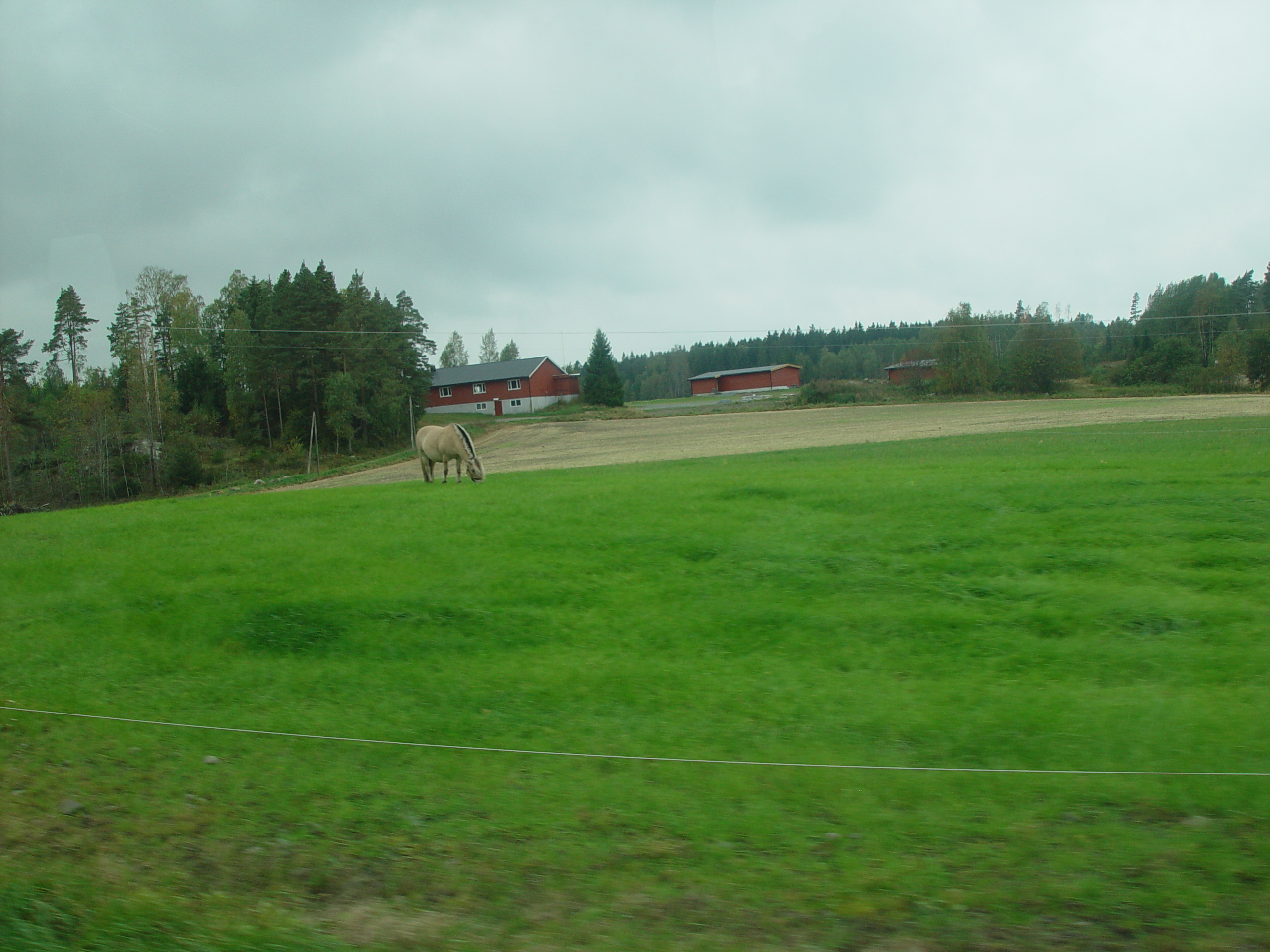 Europe Trip 2005 - Norway (Oslo, Rygge Cabins)