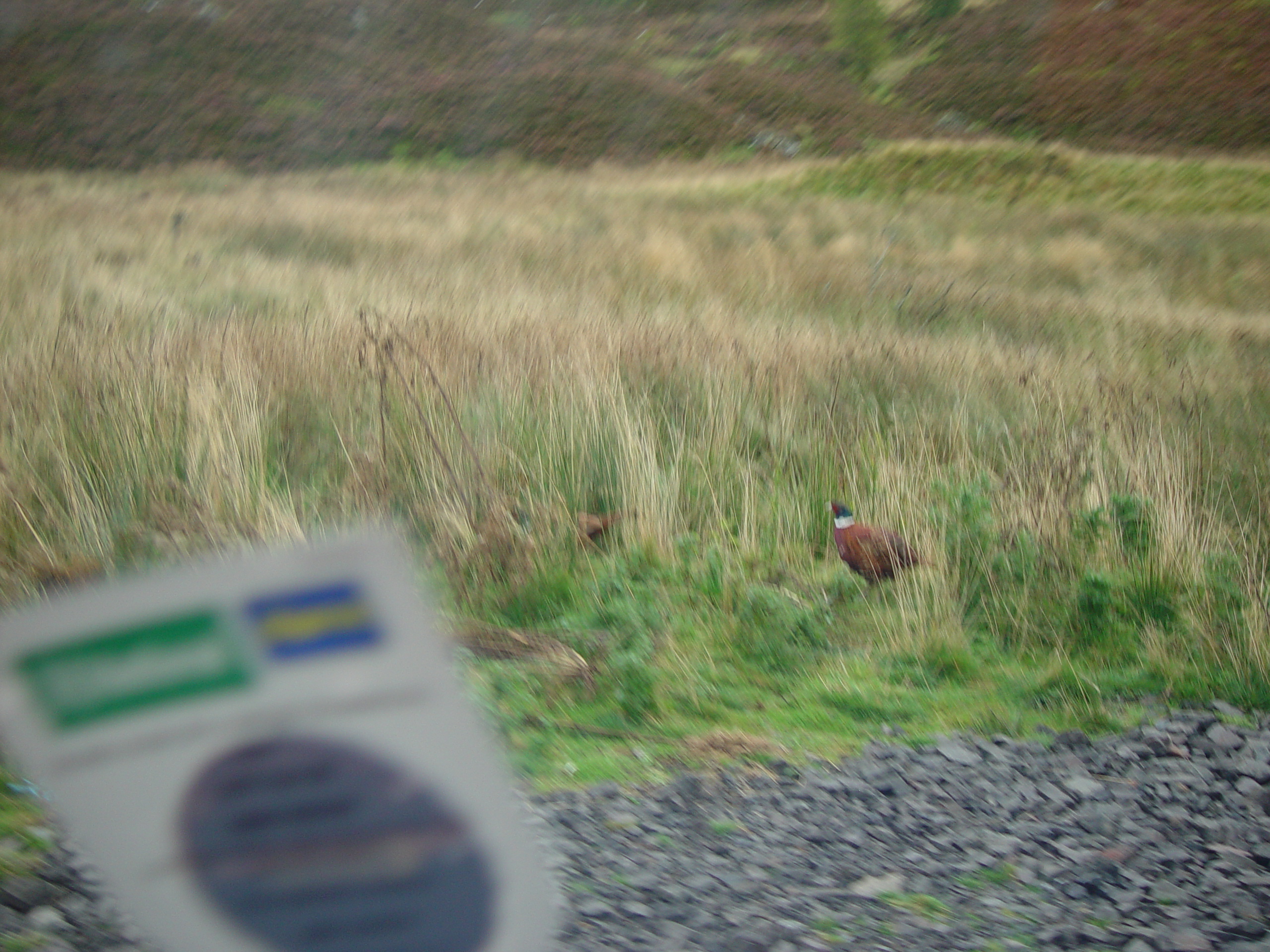 Europe Trip 2005 - Scotland Day 3 (Oban, Glencoe, Inverlochy Castle (Fort William))